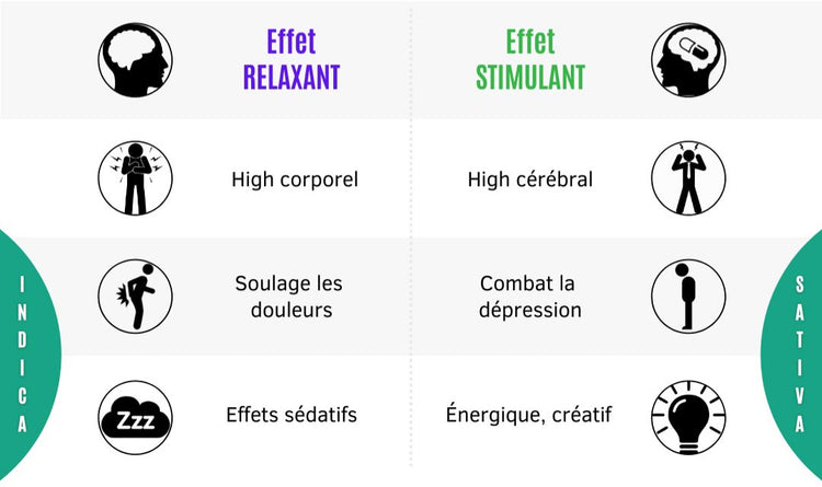 Image of Indica vs Sativa : Comprendre les différents effets