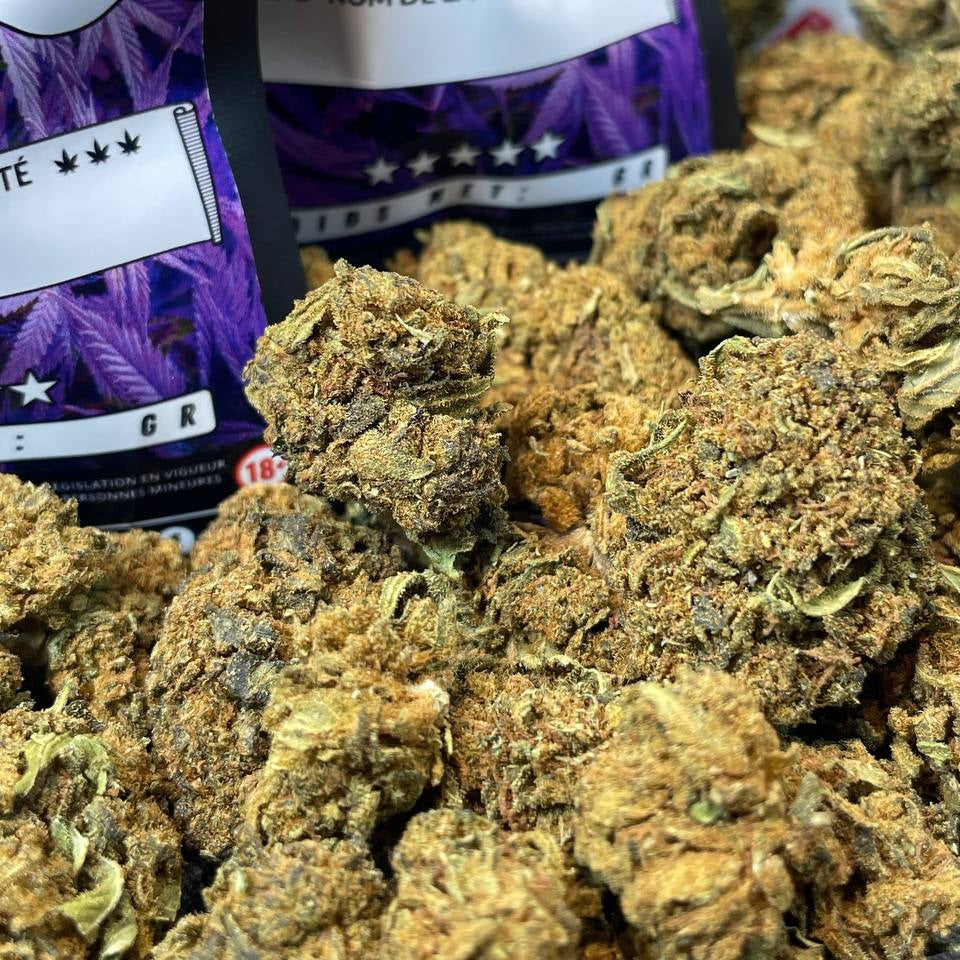 Image of GORILLA GLUE (CBD)