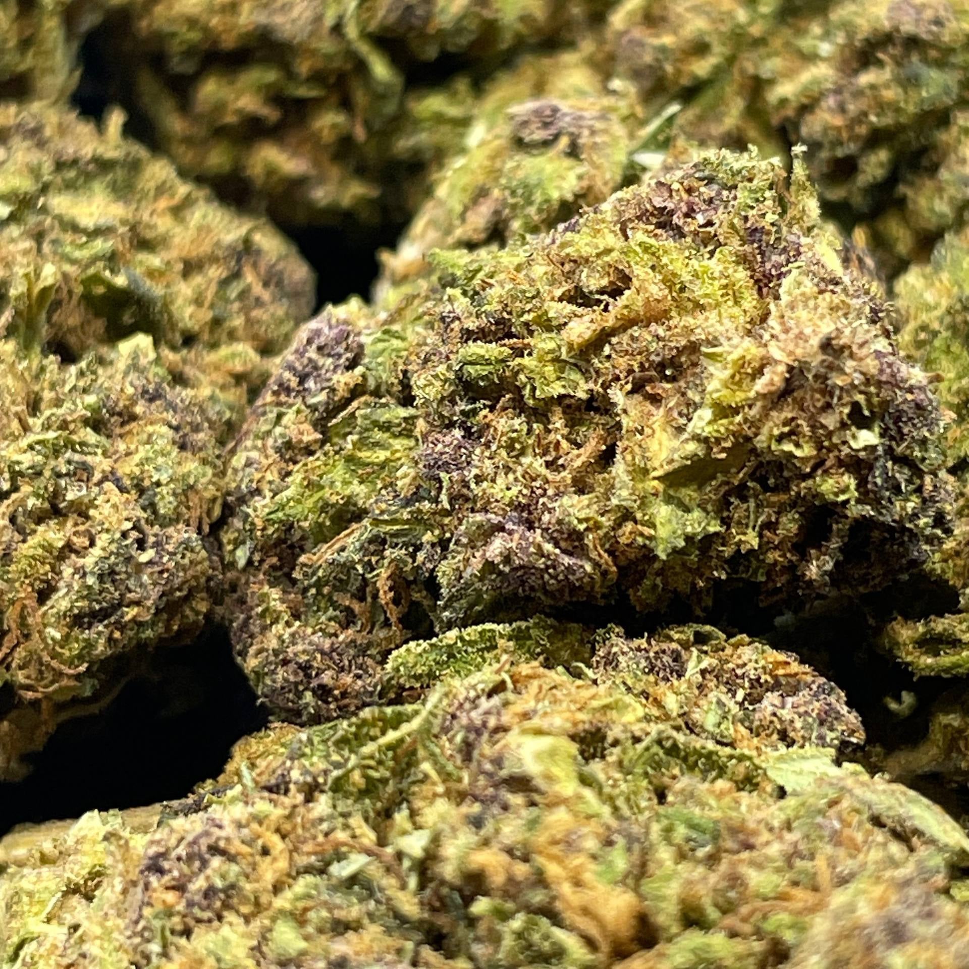 Image of PURPLE COOKIE (CBD)