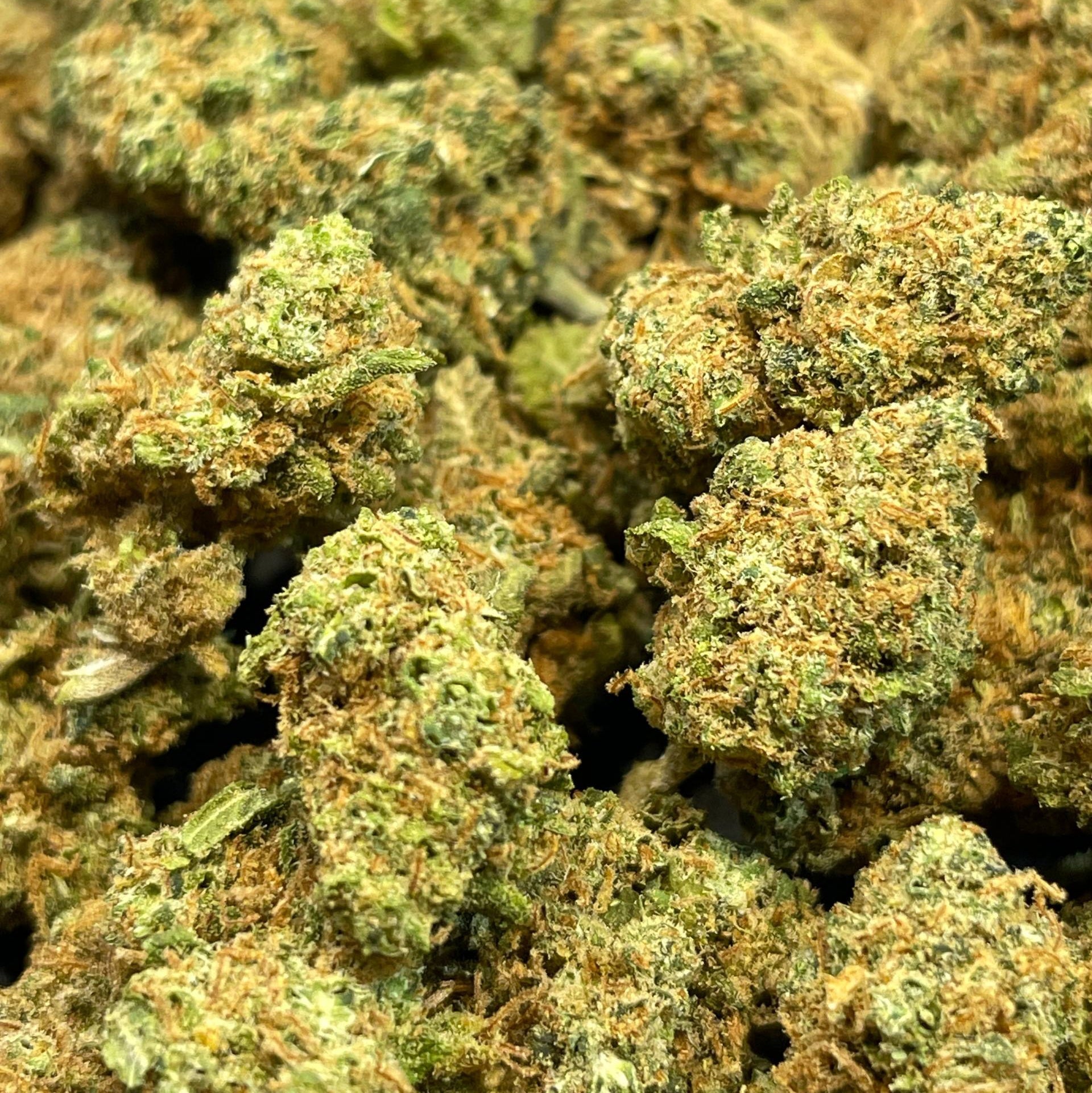 TROPICAL HAZE (CBD)