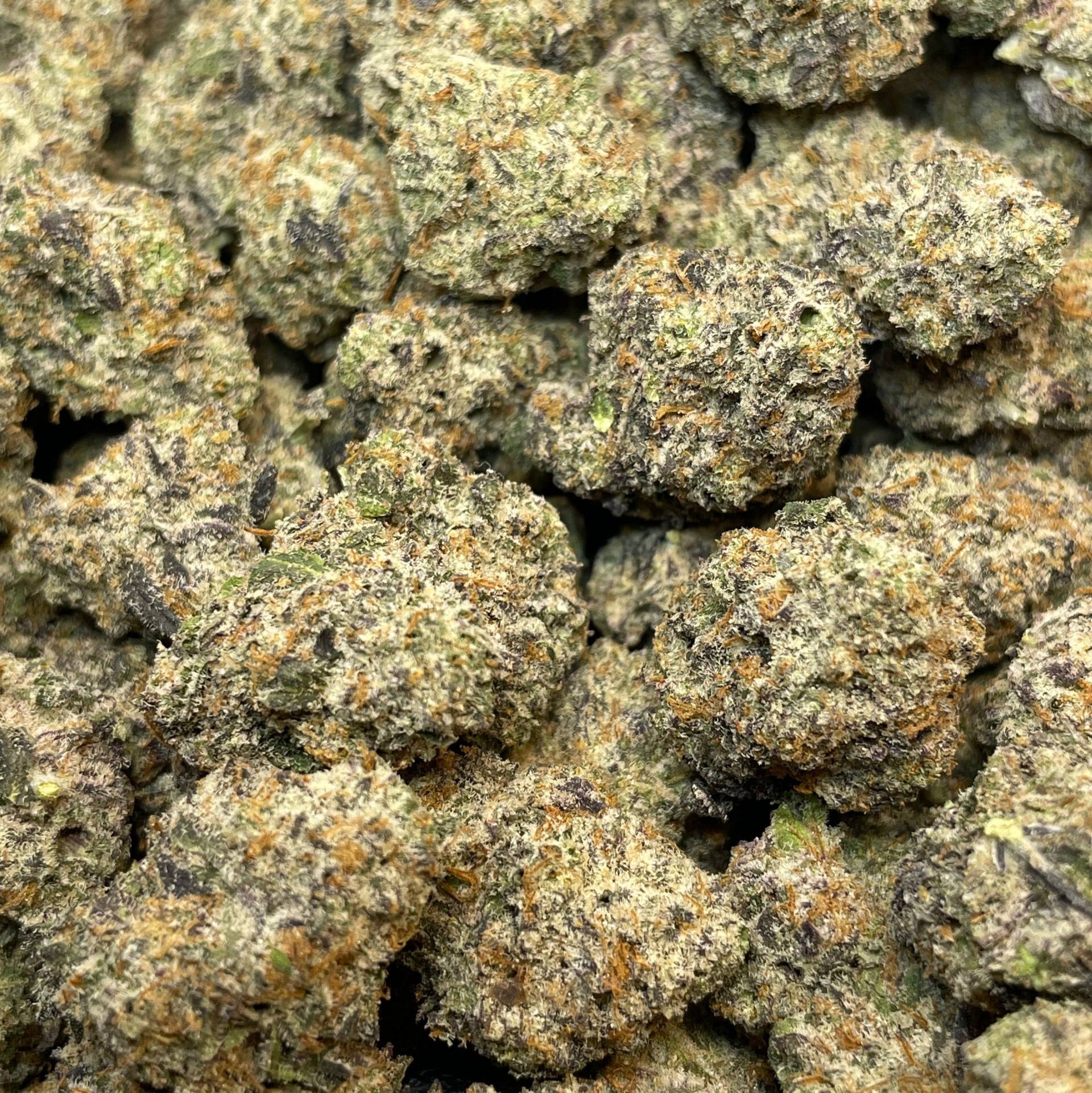 BLUE TRUFFLE - HOLLANDAISE (Δ-9 THC)