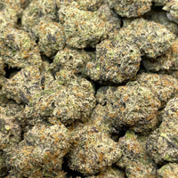 BLUE TRUFFLE - HOLLANDAISE (Δ-9 THC)