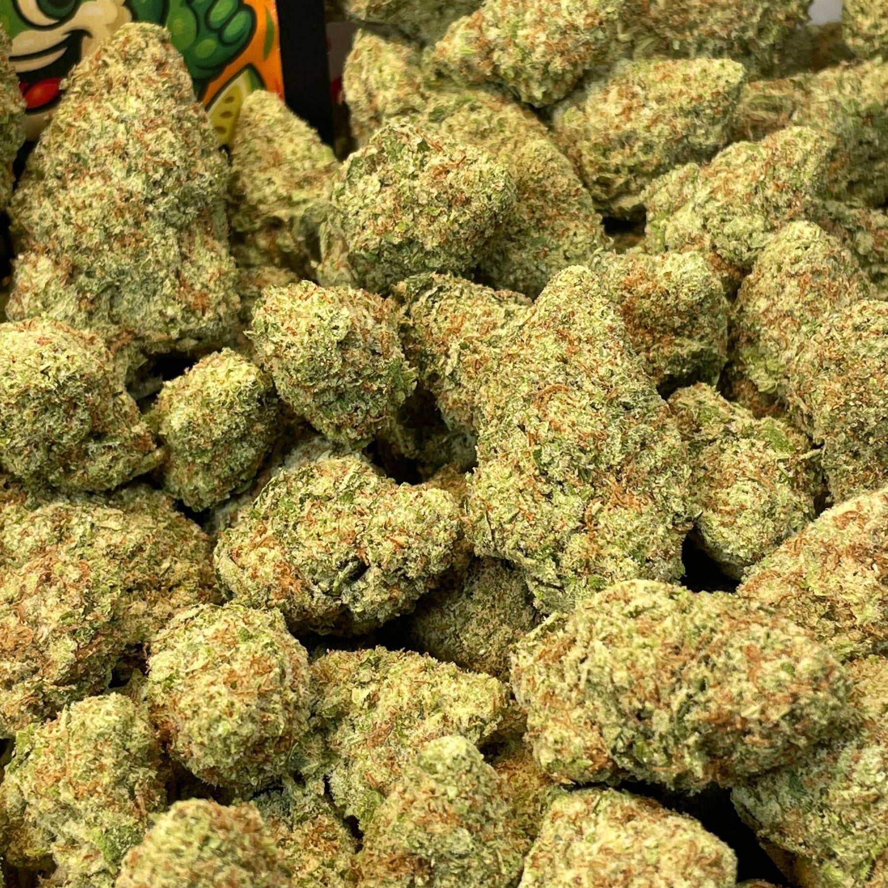 WHITE GUAVA - HOLLANDAISE (Δ-9 THC)