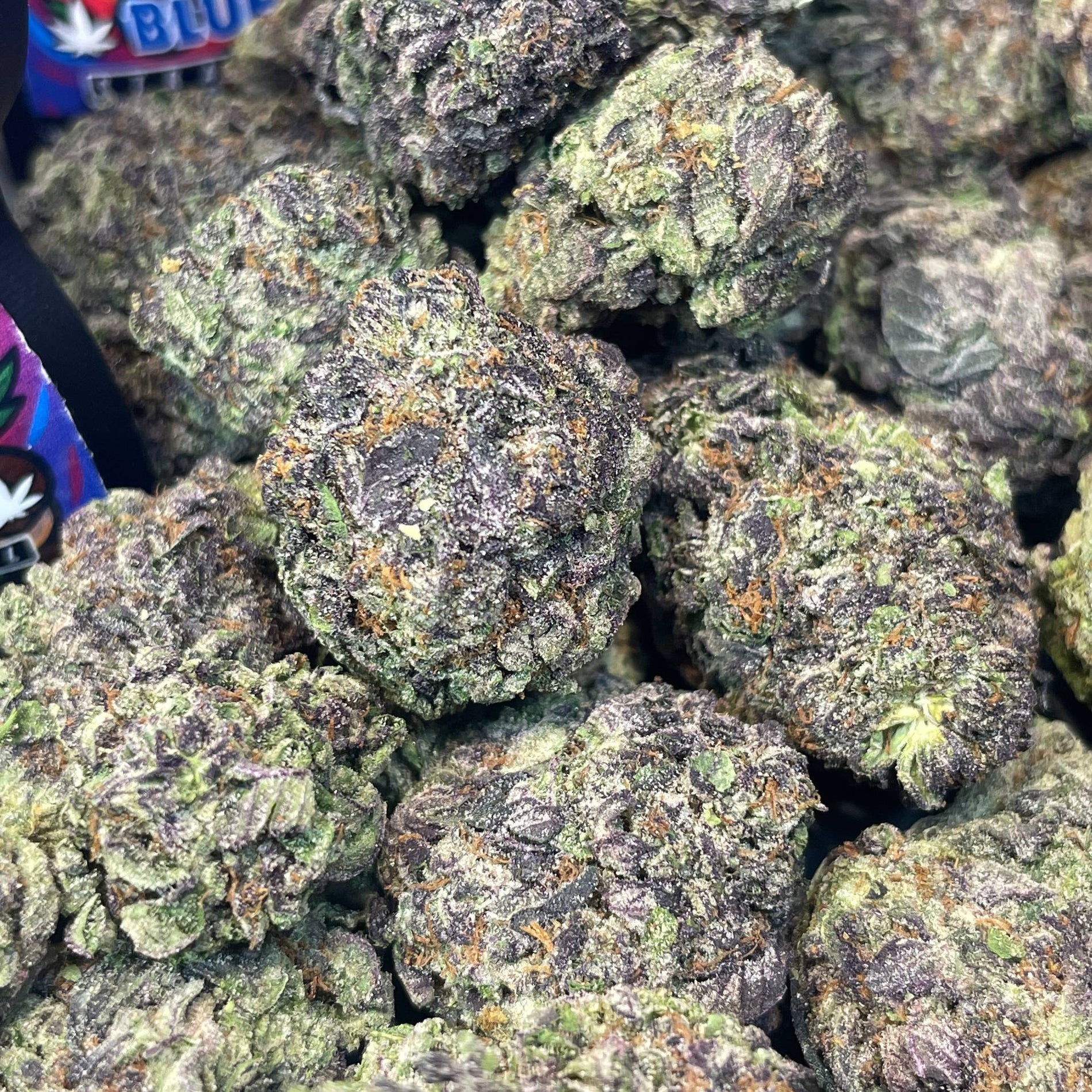 BLUE CHERRY - ESPAGNOL (Δ-9 THC)