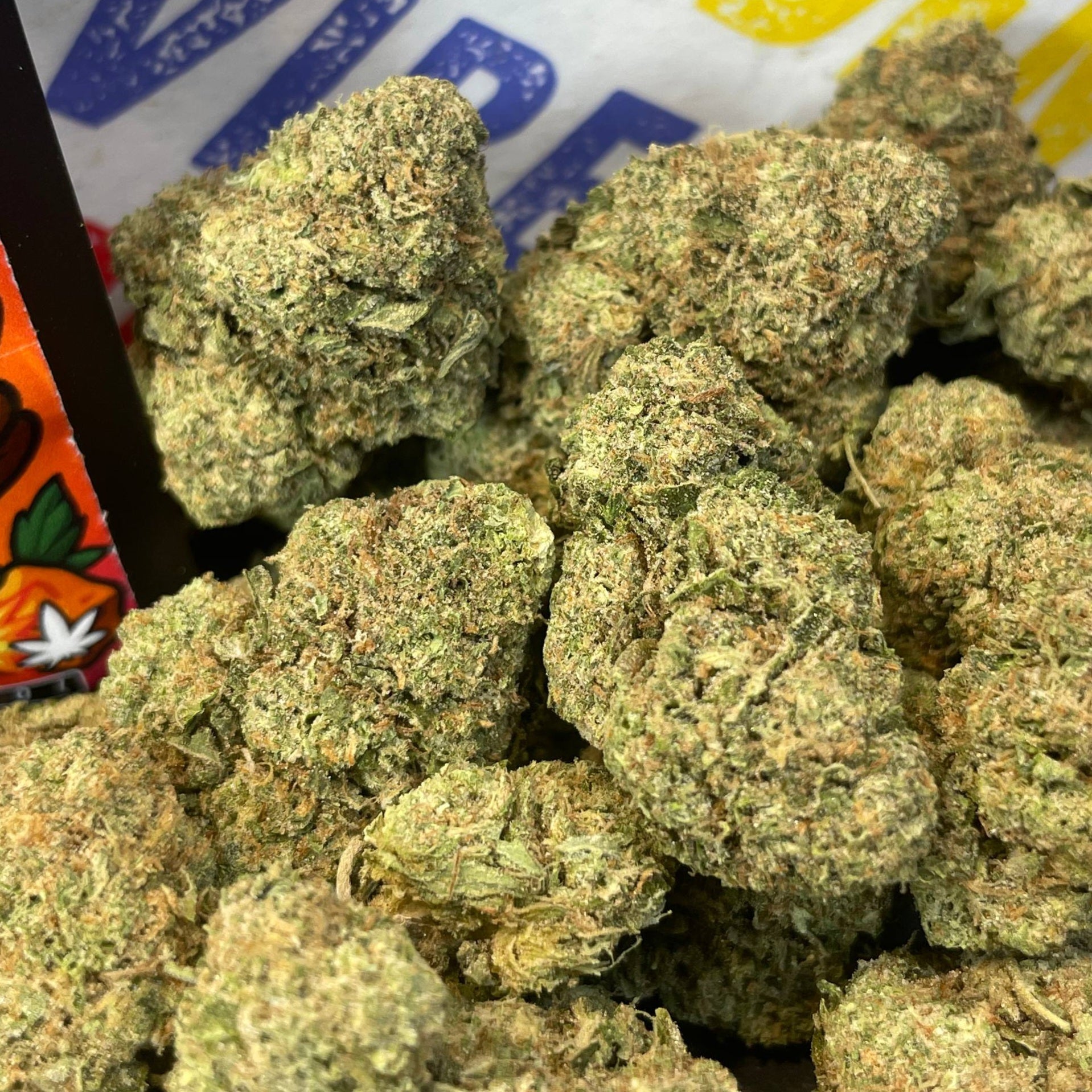 BISCOTTI - ESPAGNOL (Δ-9 THC)