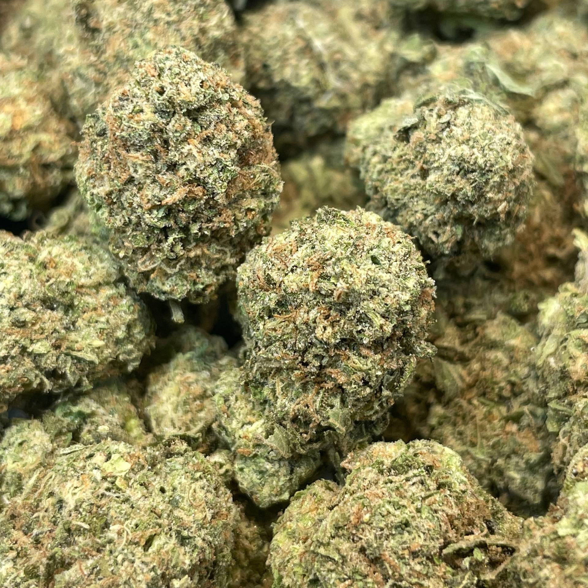 BISCOTTI - ESPAGNOL (Δ-9 THC)