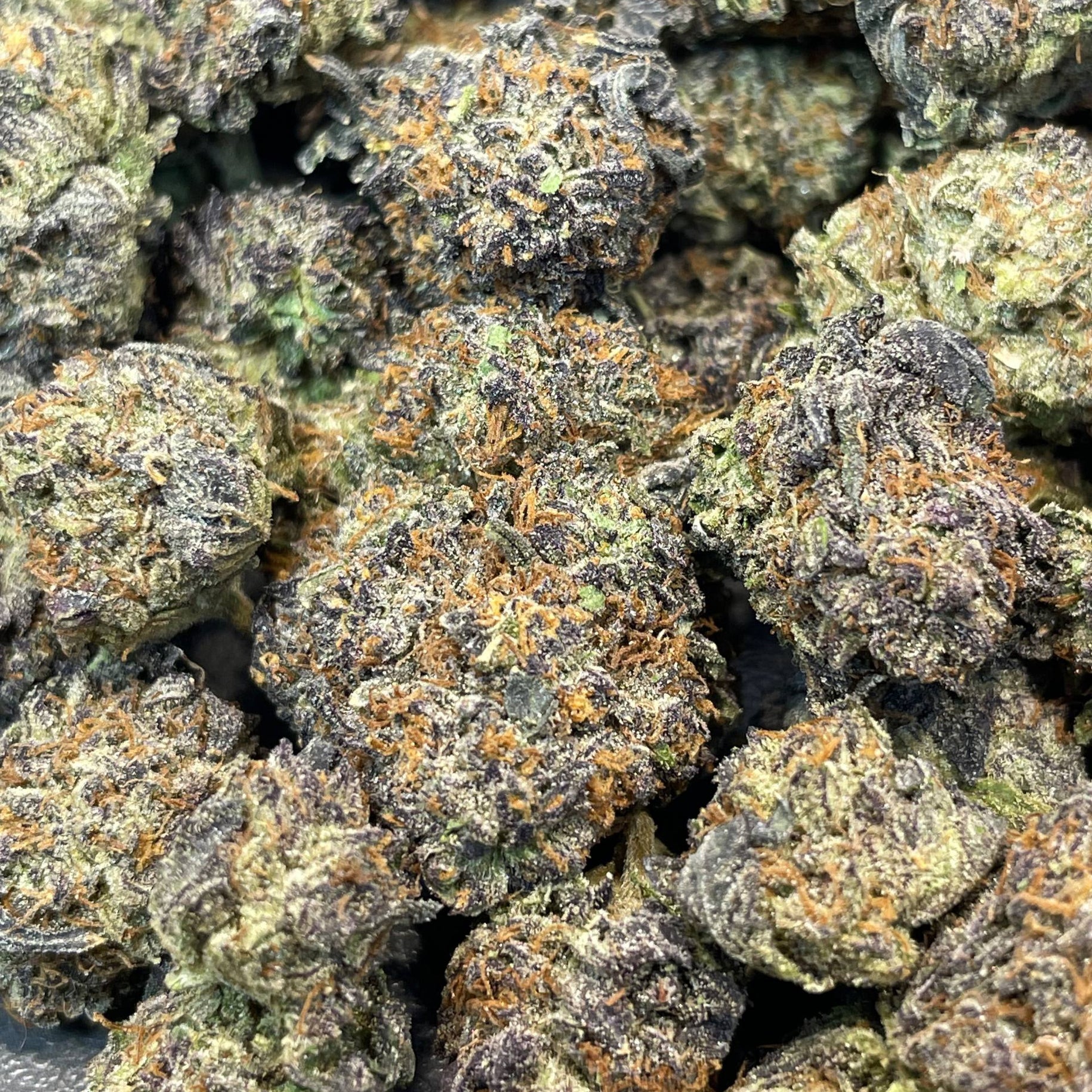 BLUEBERRY - ESPAGNOL (Δ-9 THC)
