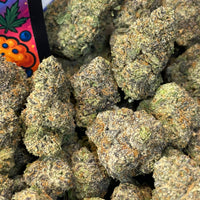 BLUEBERRY MUFFIN - HOLLANDAISE (Δ-9 THC)