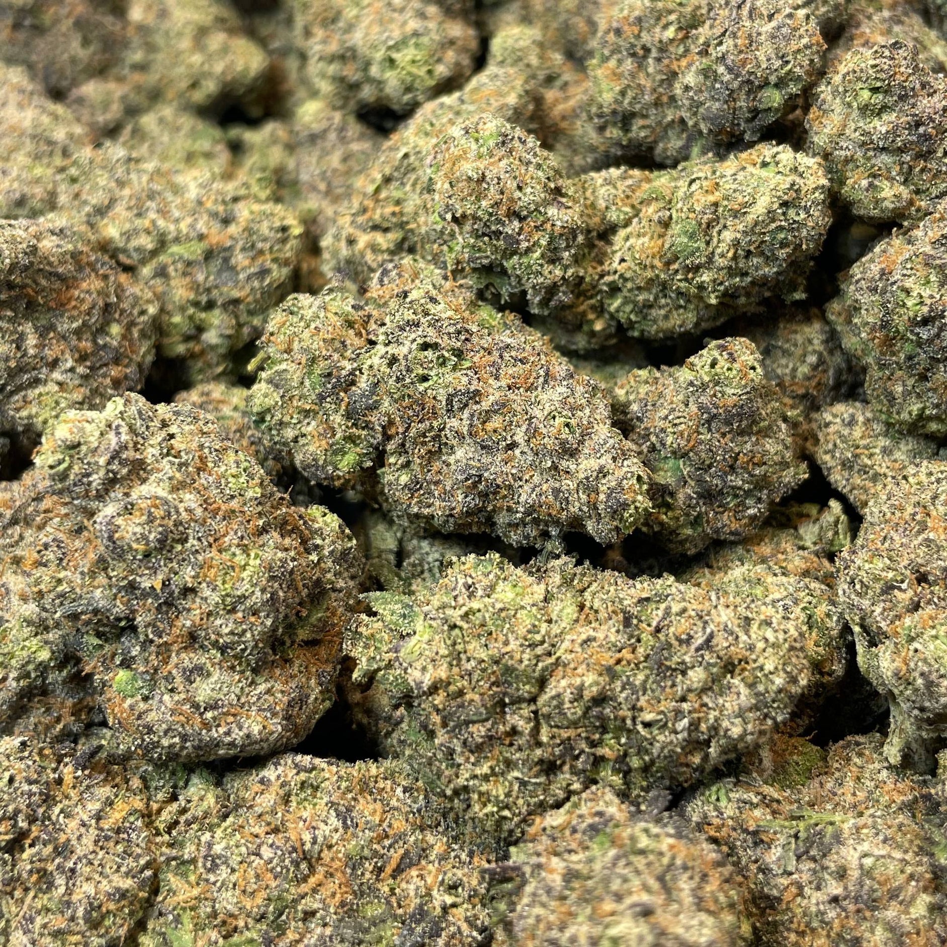 BLUEBERRY MUFFIN - HOLLANDAISE (Δ-9 THC)