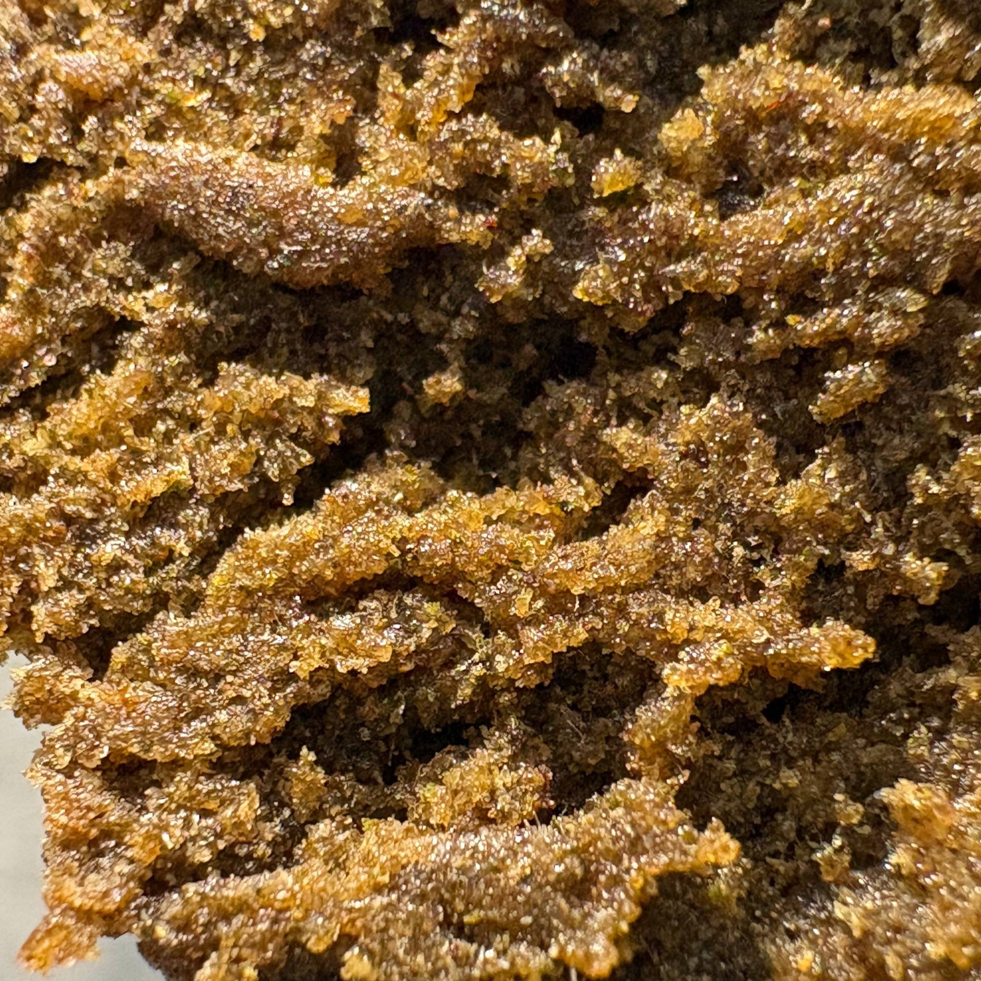 Image of PURPLE PUNCH (Δ-9 THC)