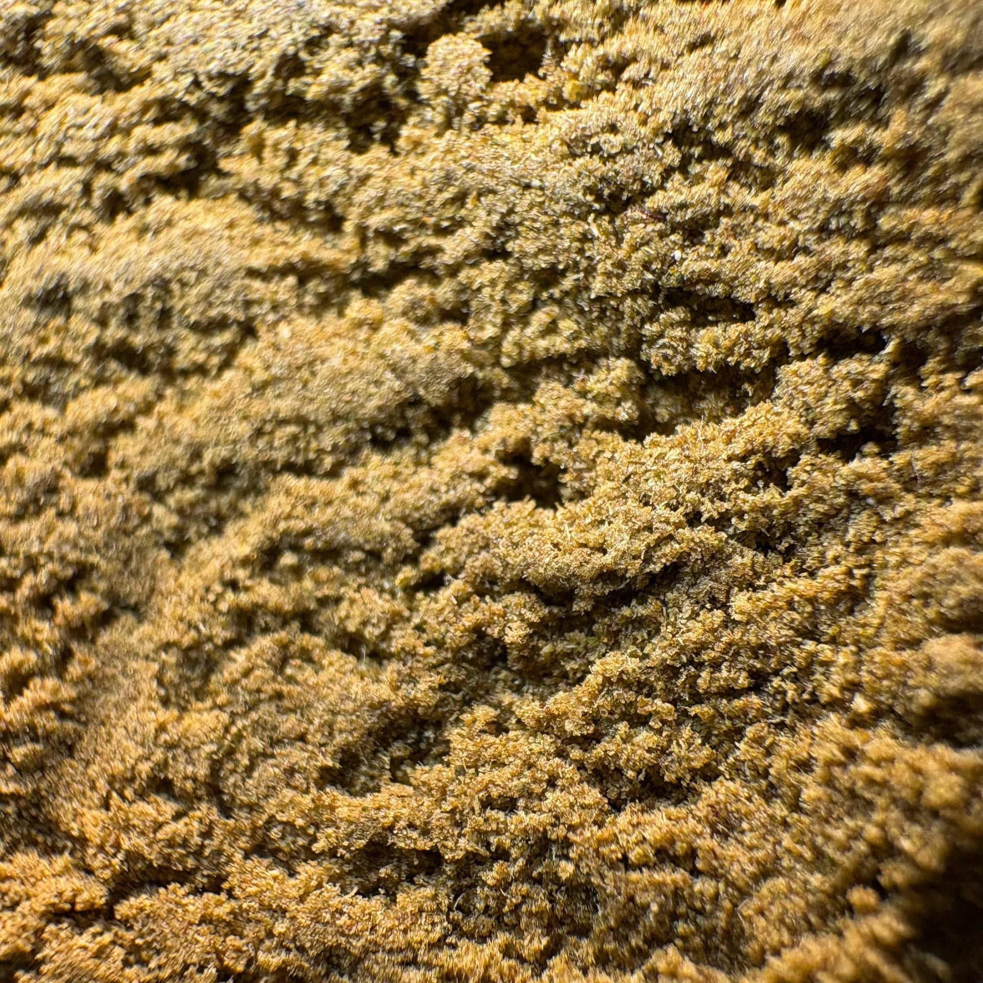Image of SUPER LEMON HAZE CALI (Δ-9 THC)