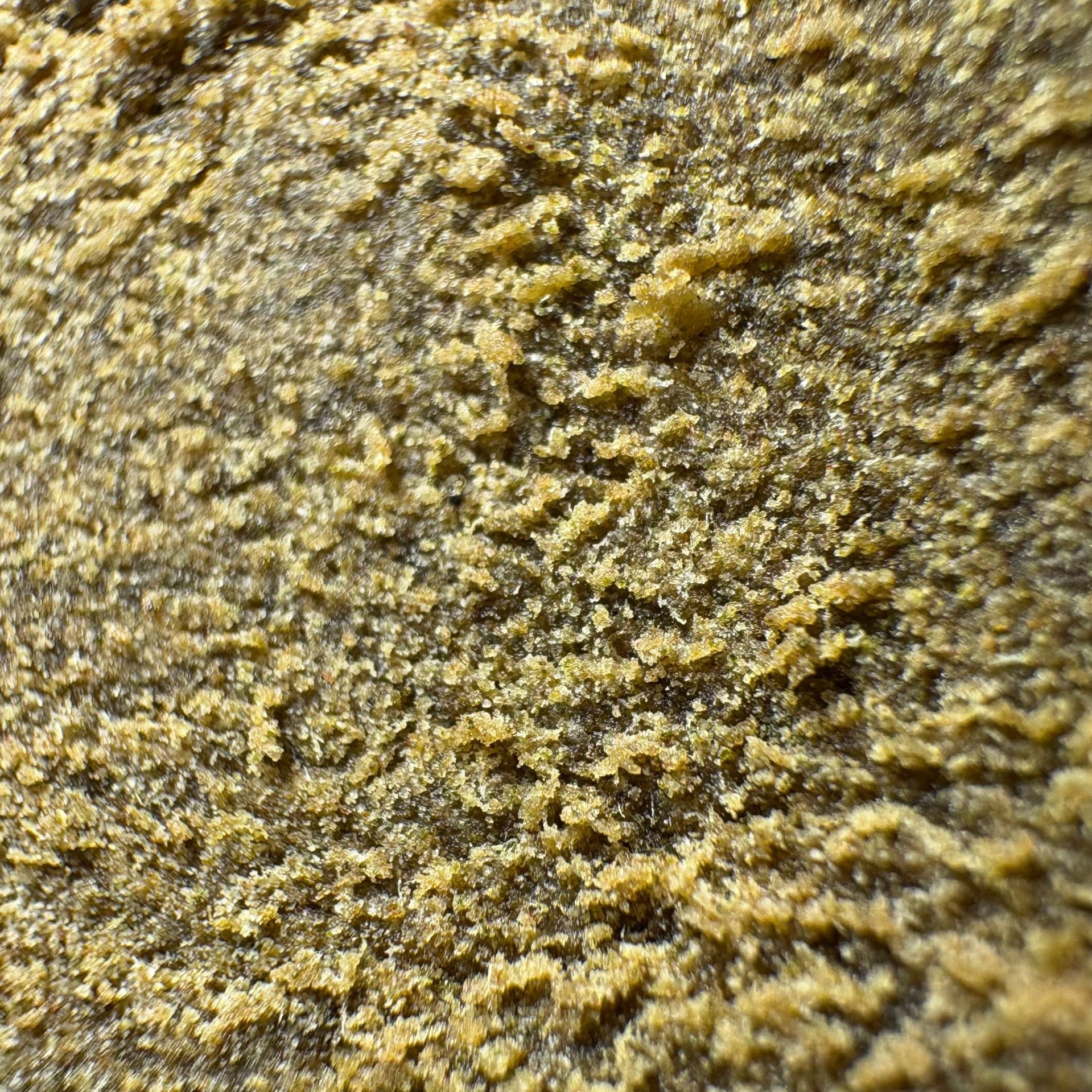 Image of LOLLIPOPZ (Δ-9 THC)