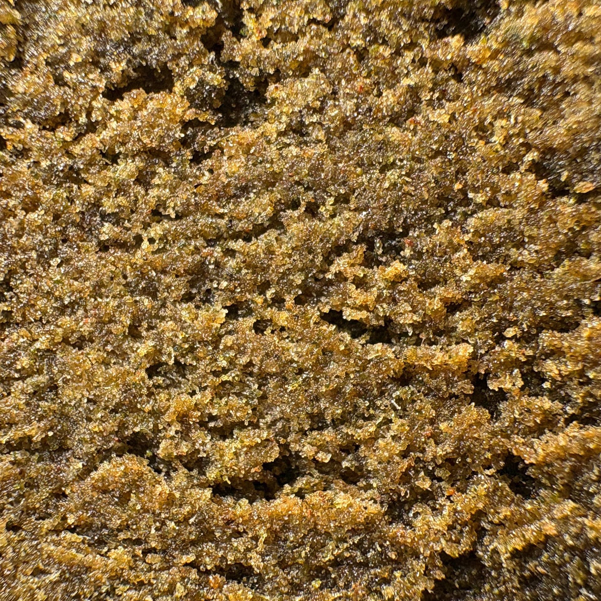 Image of LÍNEA BLUCCI (Δ-9 THC)