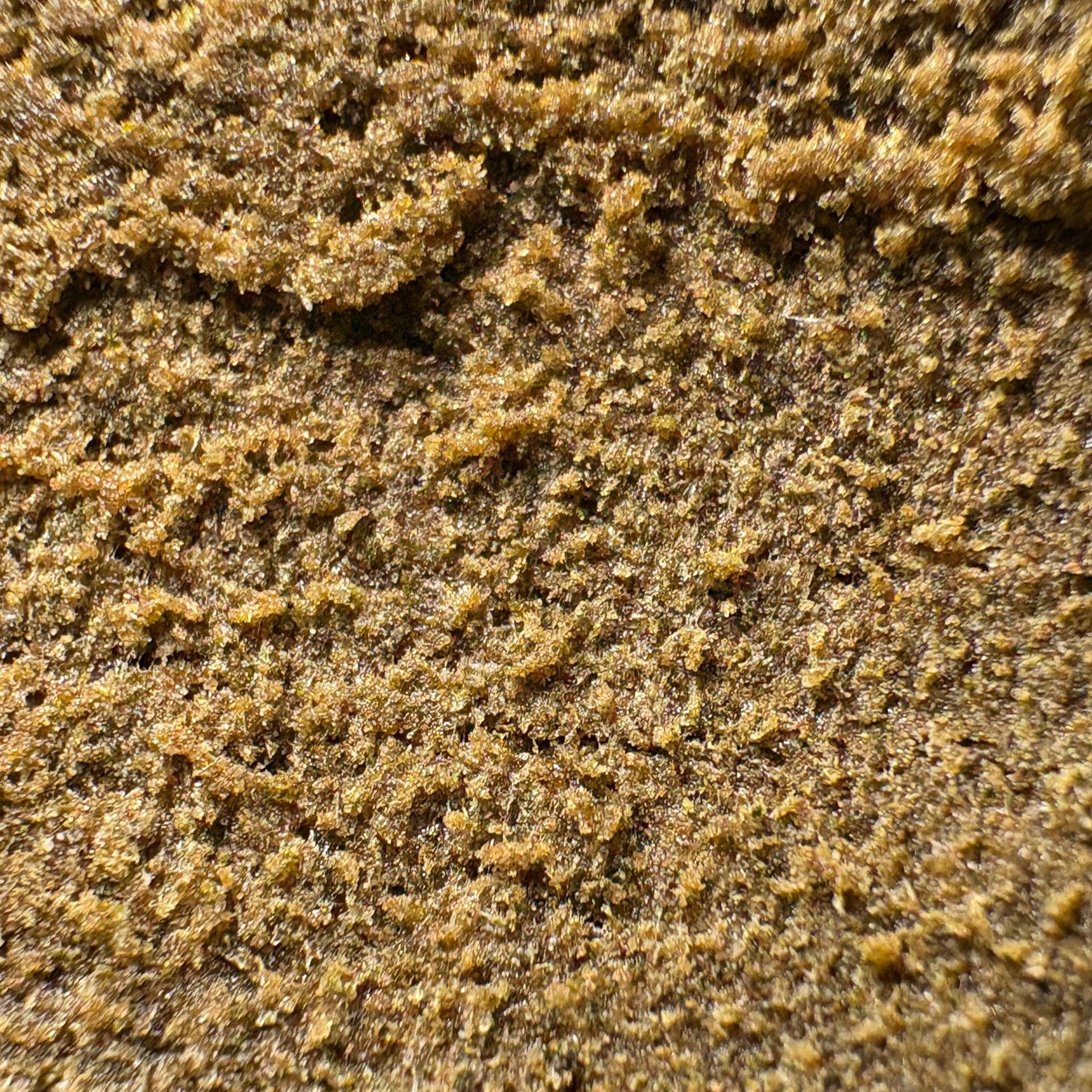 Image of BANANA ZKITTLEZ (Δ-9 THC)