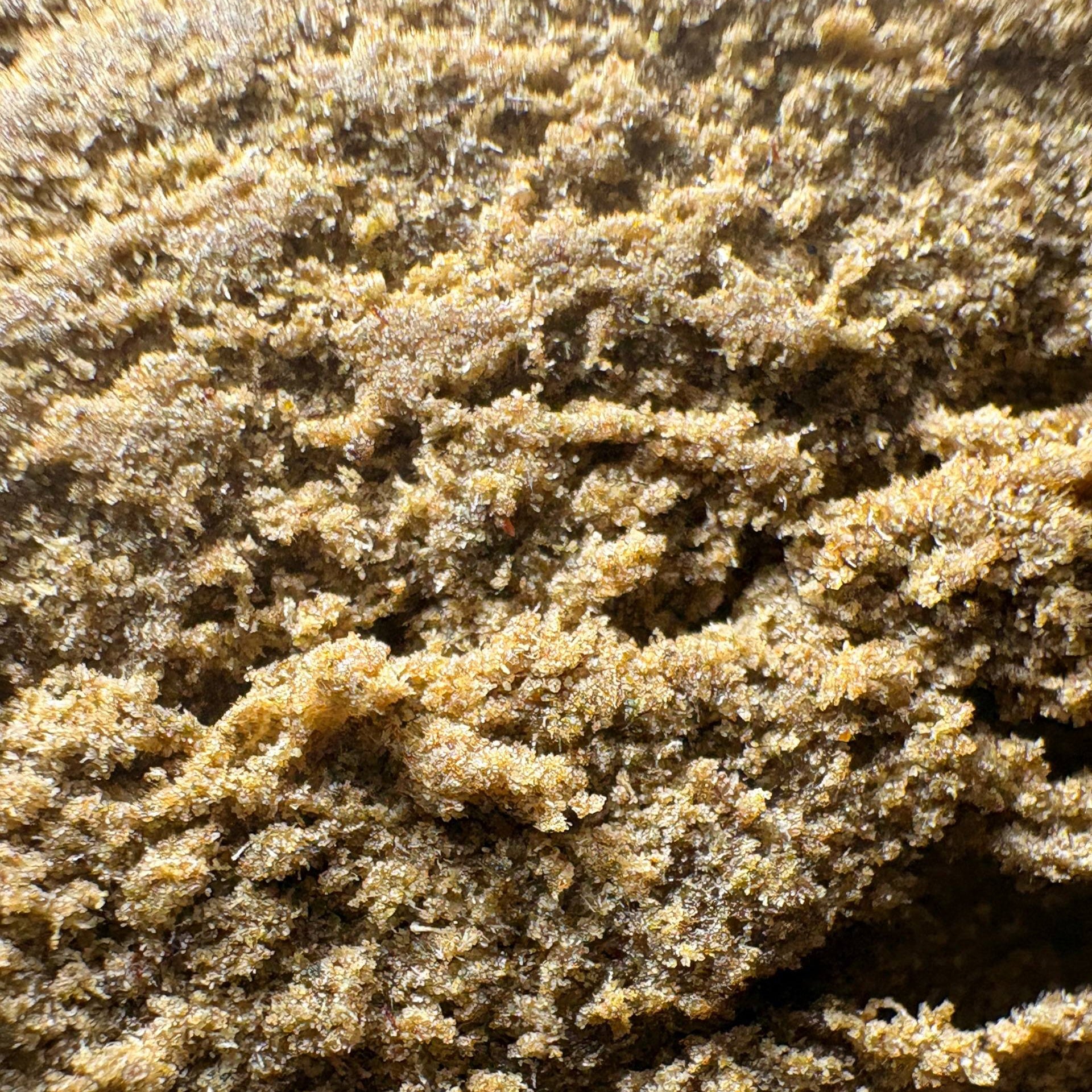 Image of 100GR APPLE JUICE (Δ-9 THC)