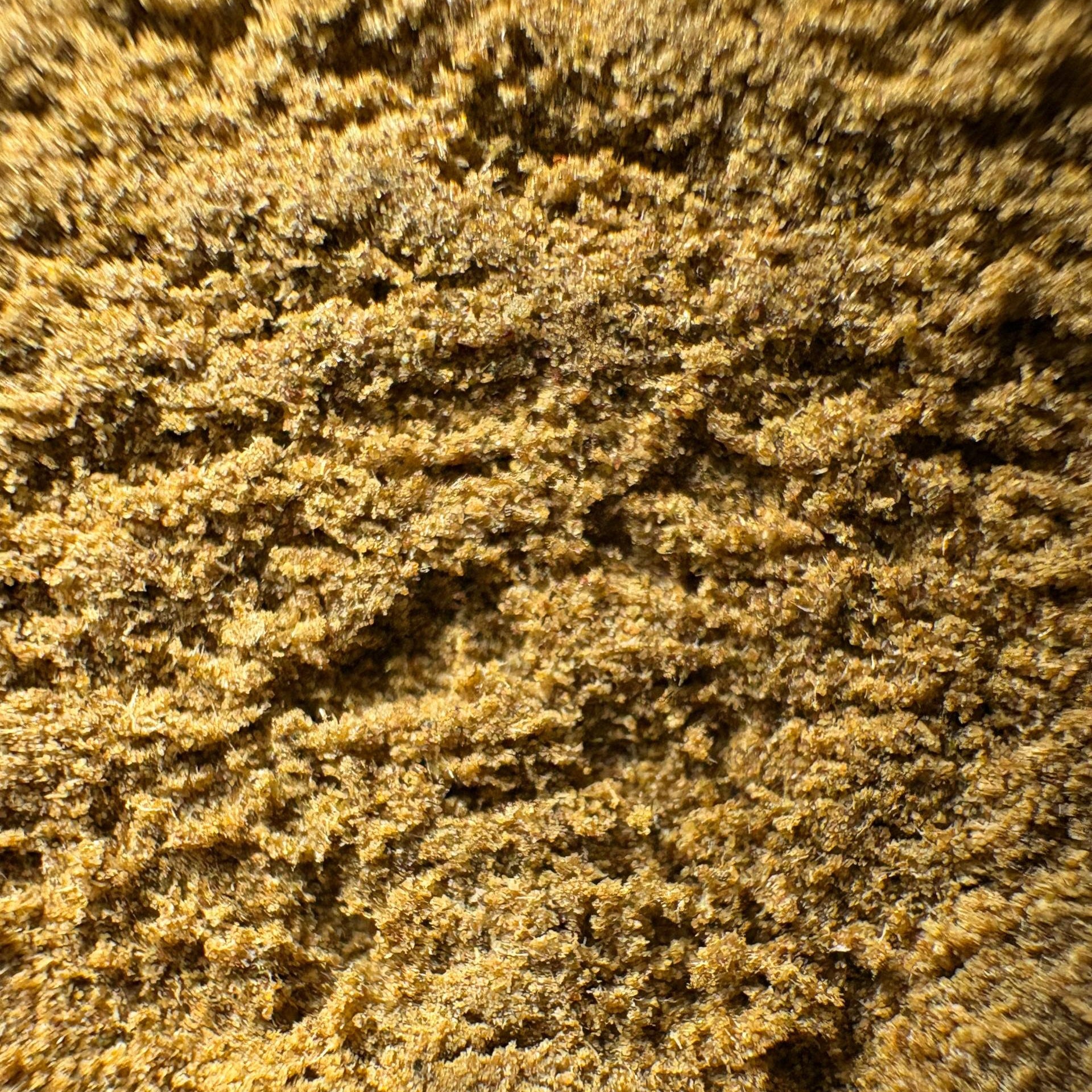Image of JACK HERER CALI (Δ-9 THC)
