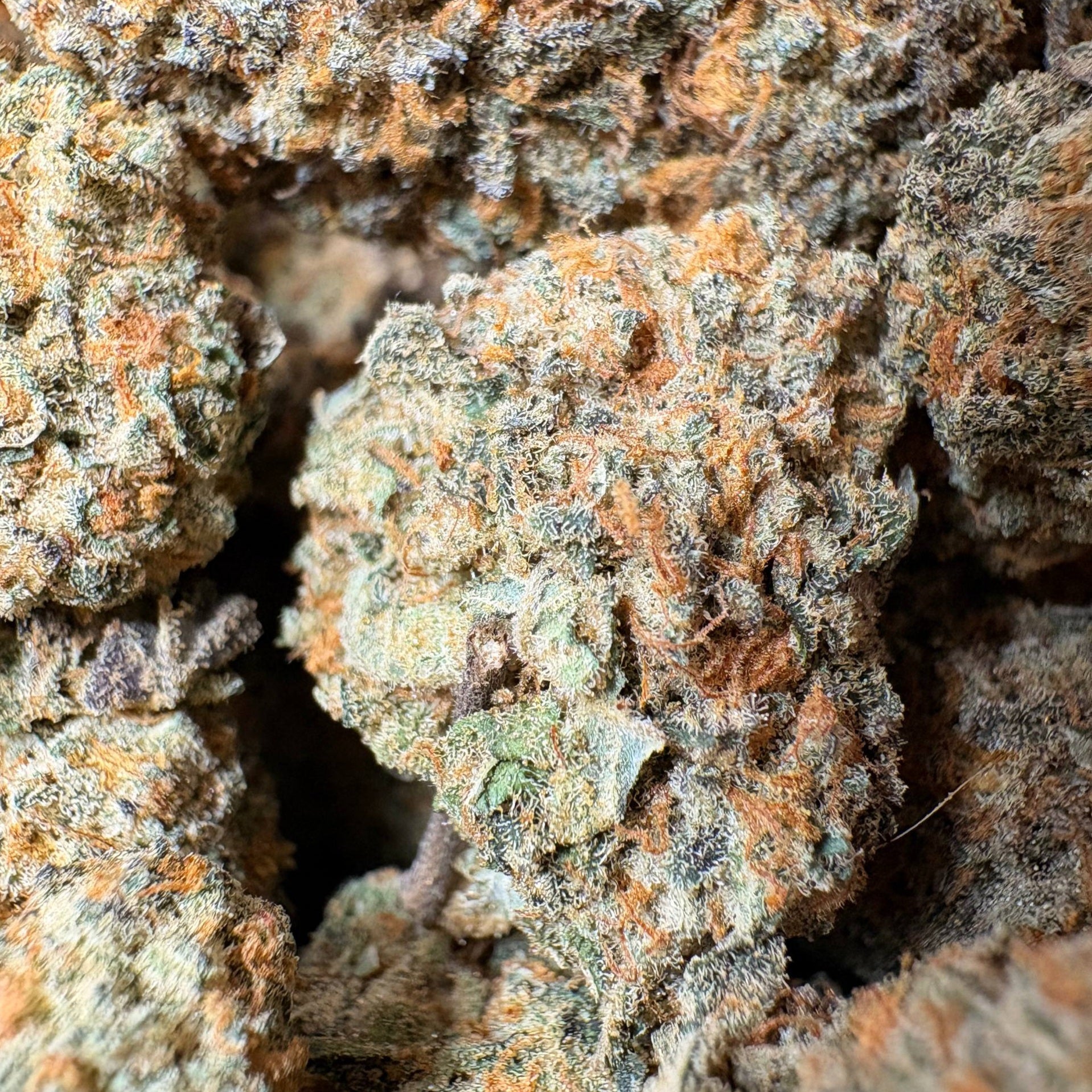 Image of ORANGE SKUNK (Δ-9 THC)