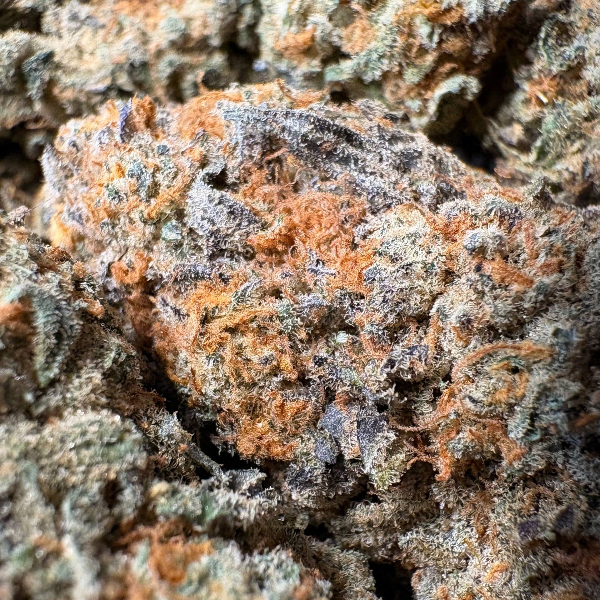 Image of PACK EXTRA (Δ-9 THC)