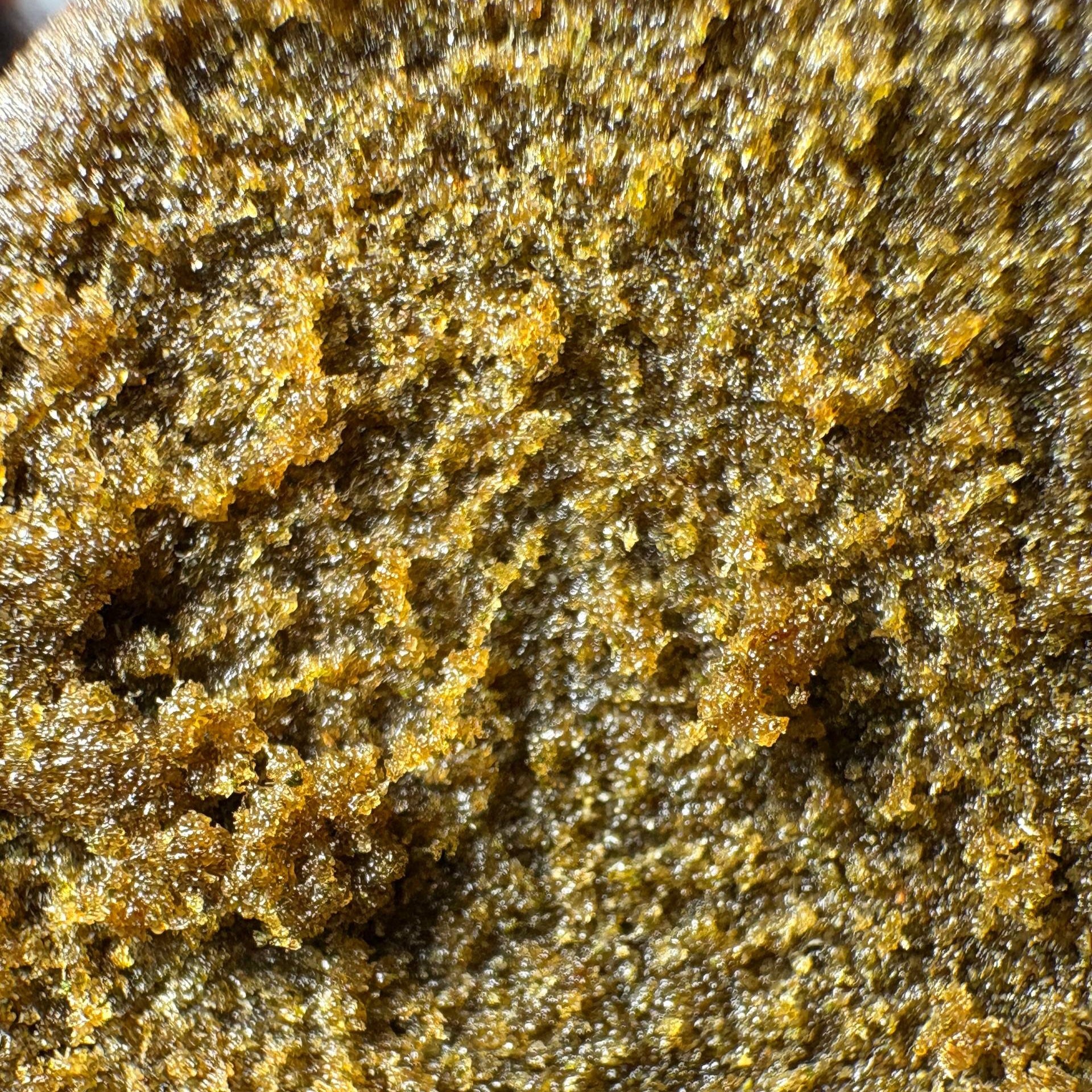 Image of CHEESE SHERBET (Δ-9 THC)