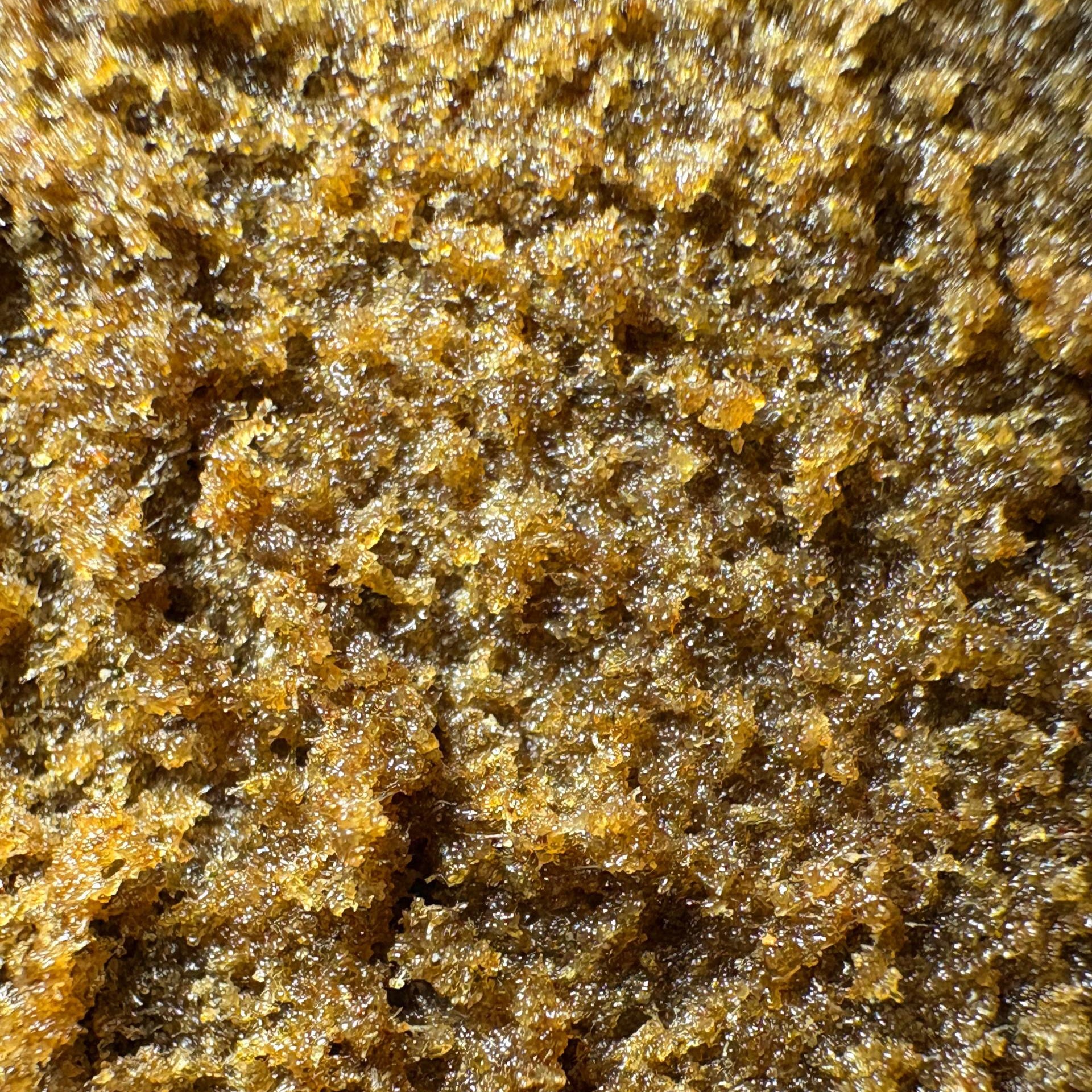 Image of GARLIC PAPAYA (Δ-9 THC)