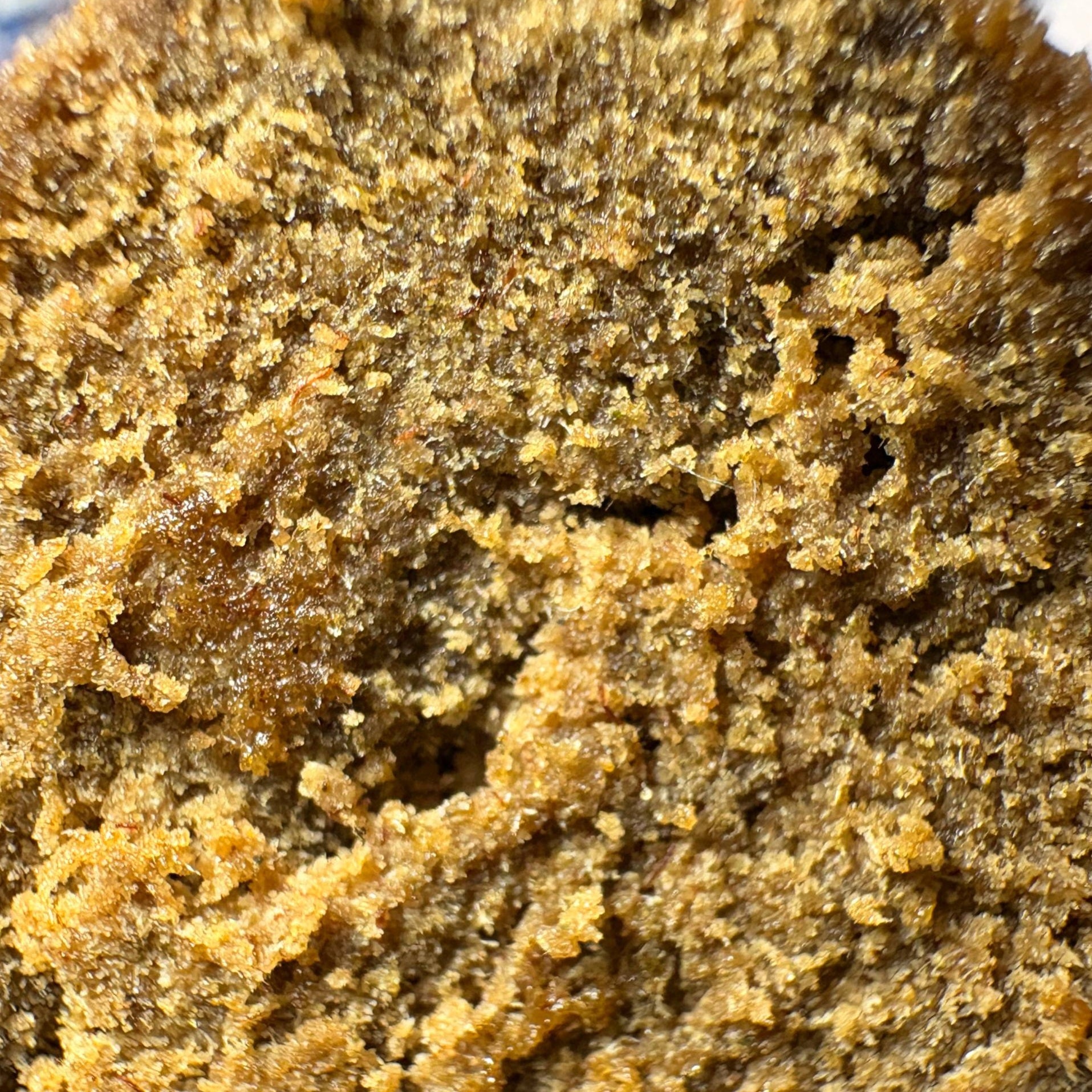 Image of LEMON CHERRY GÉLATO (Δ-9 THC)