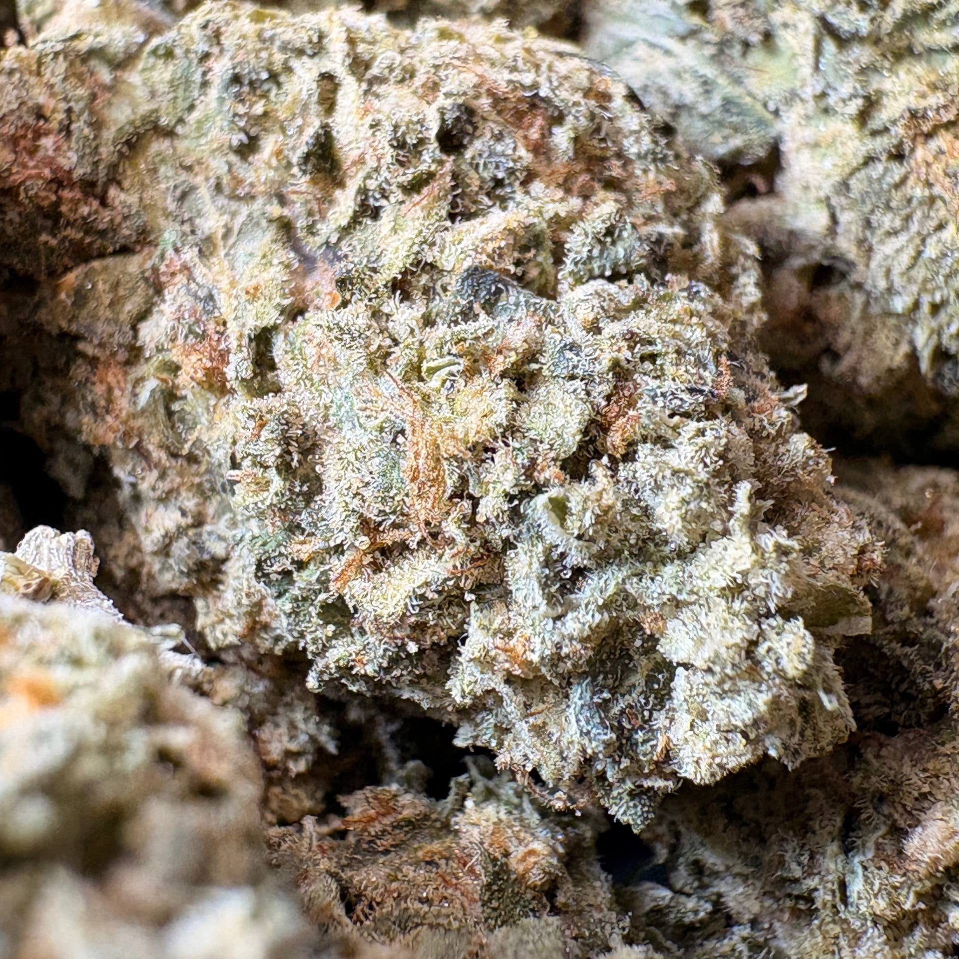 Image of STRAWBERRY GÉLATO (Δ-9 THC)