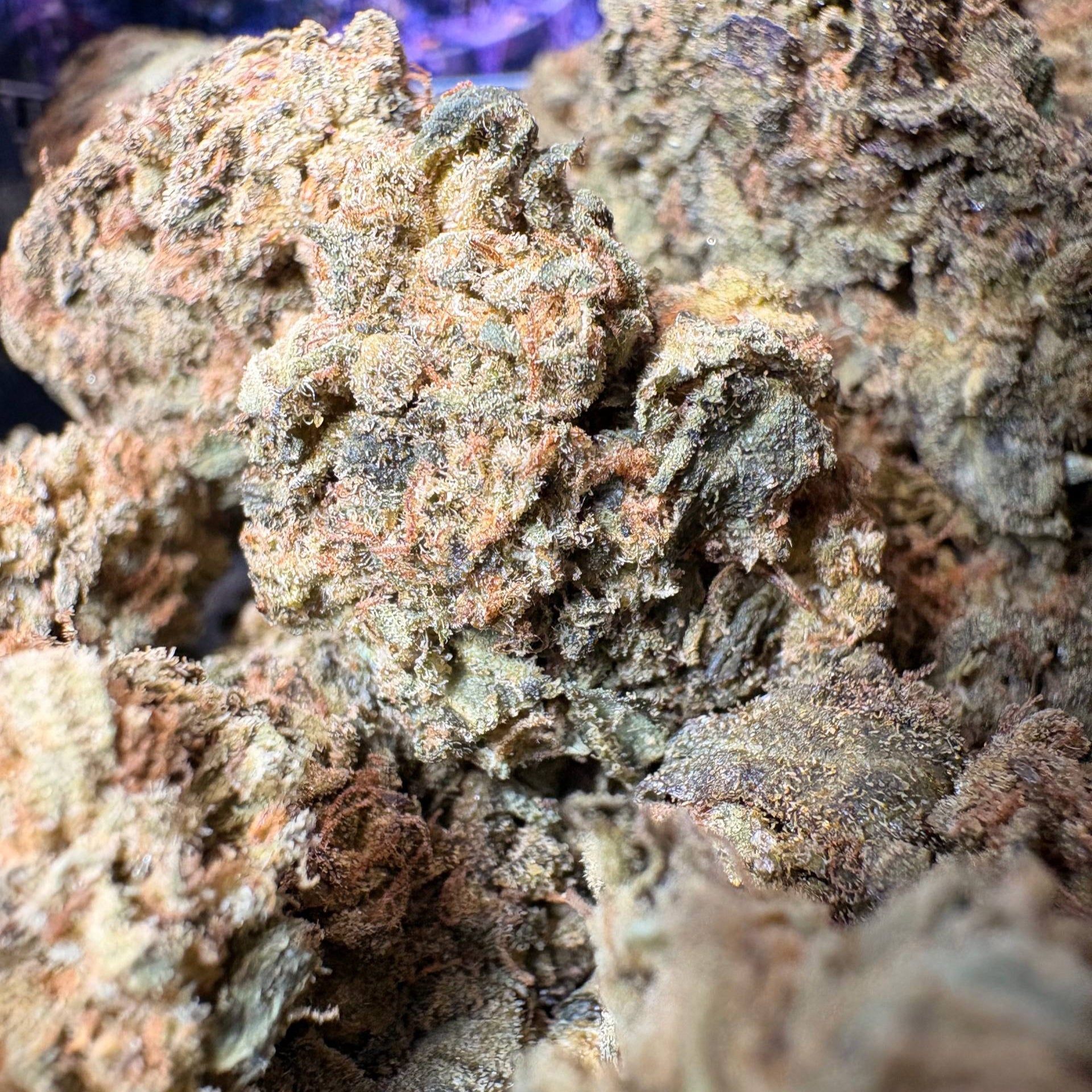 Image of PURPLE GUSHERS (Δ-9 THC)