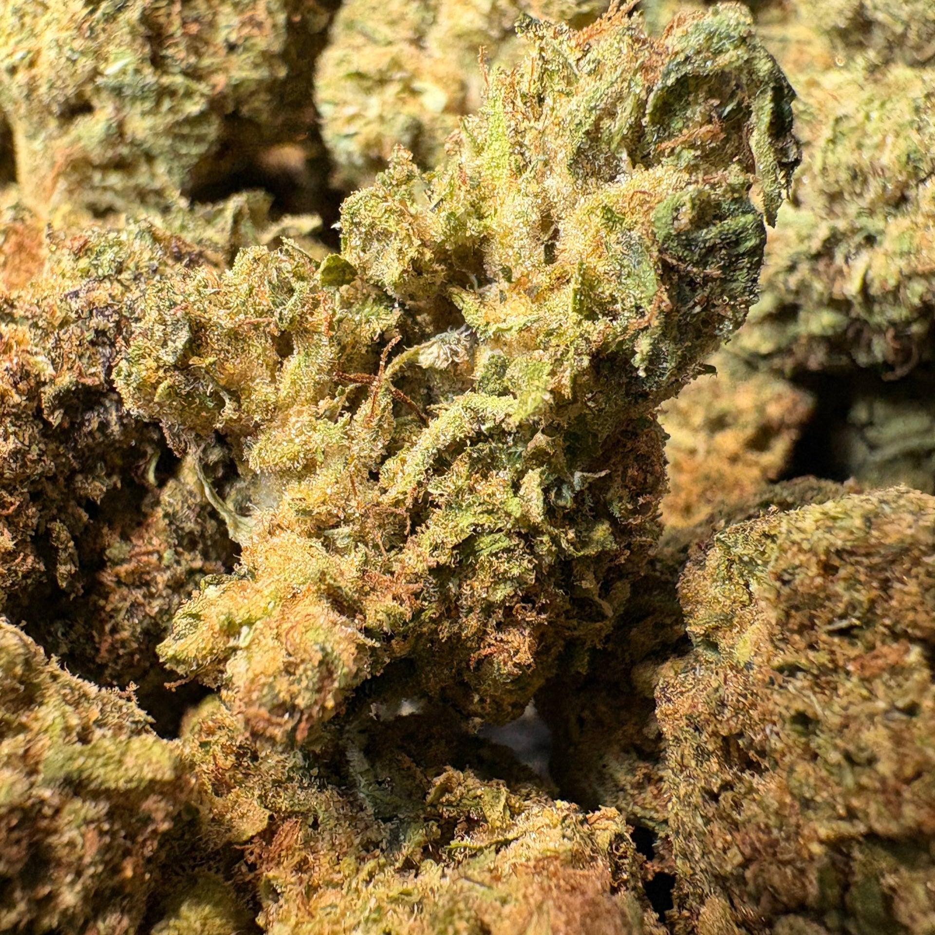 Image of SOUR APPLE (Δ9-THC)
