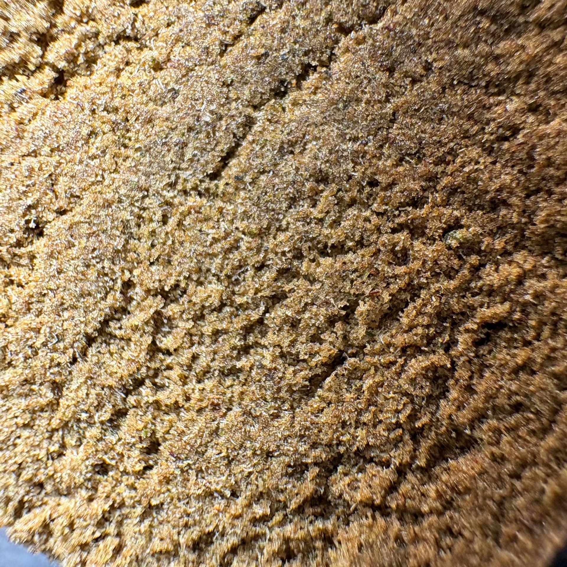 Image of OG KUSH CALI (Δ-9 THC)