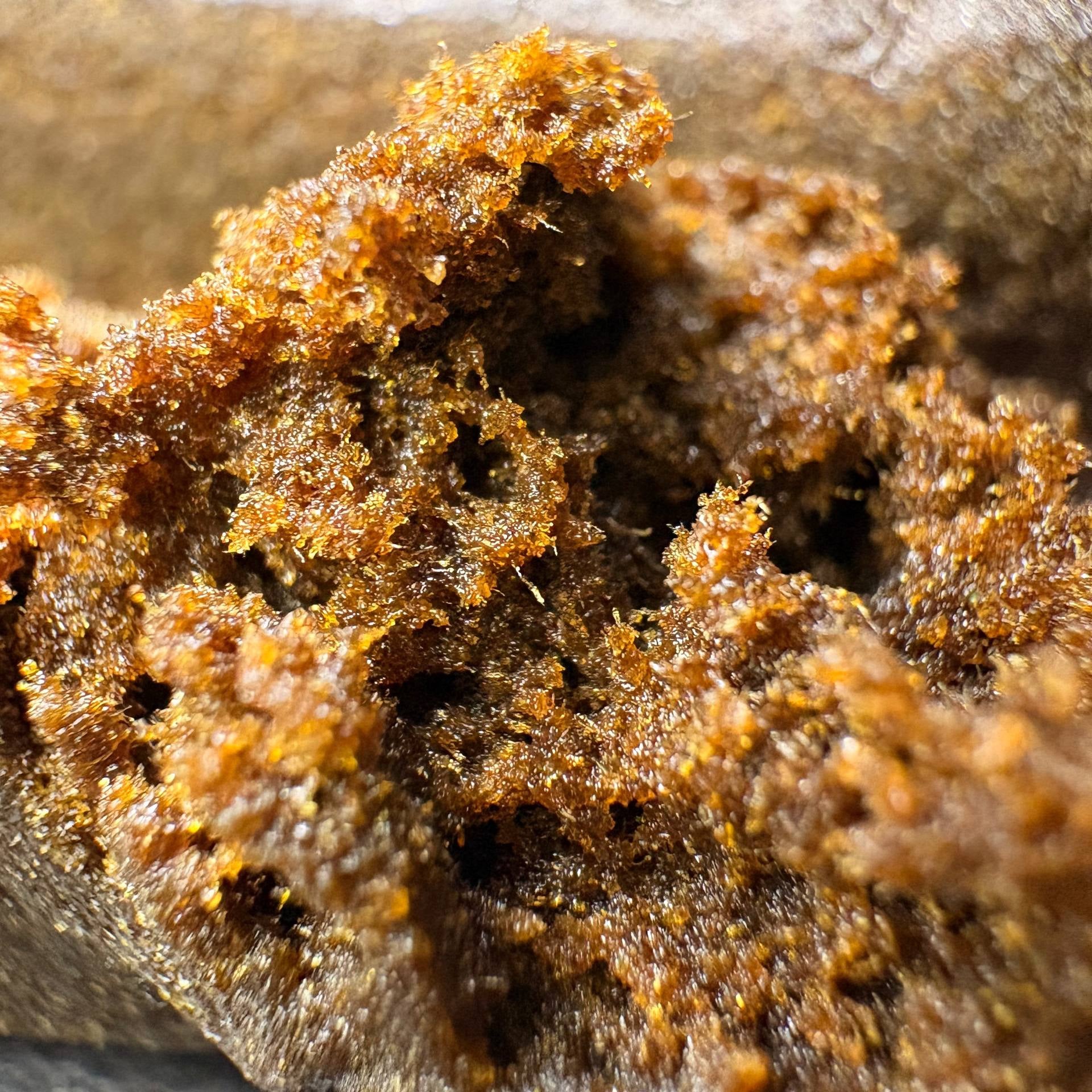 Image of PEACH LIME (Δ-9 THC)