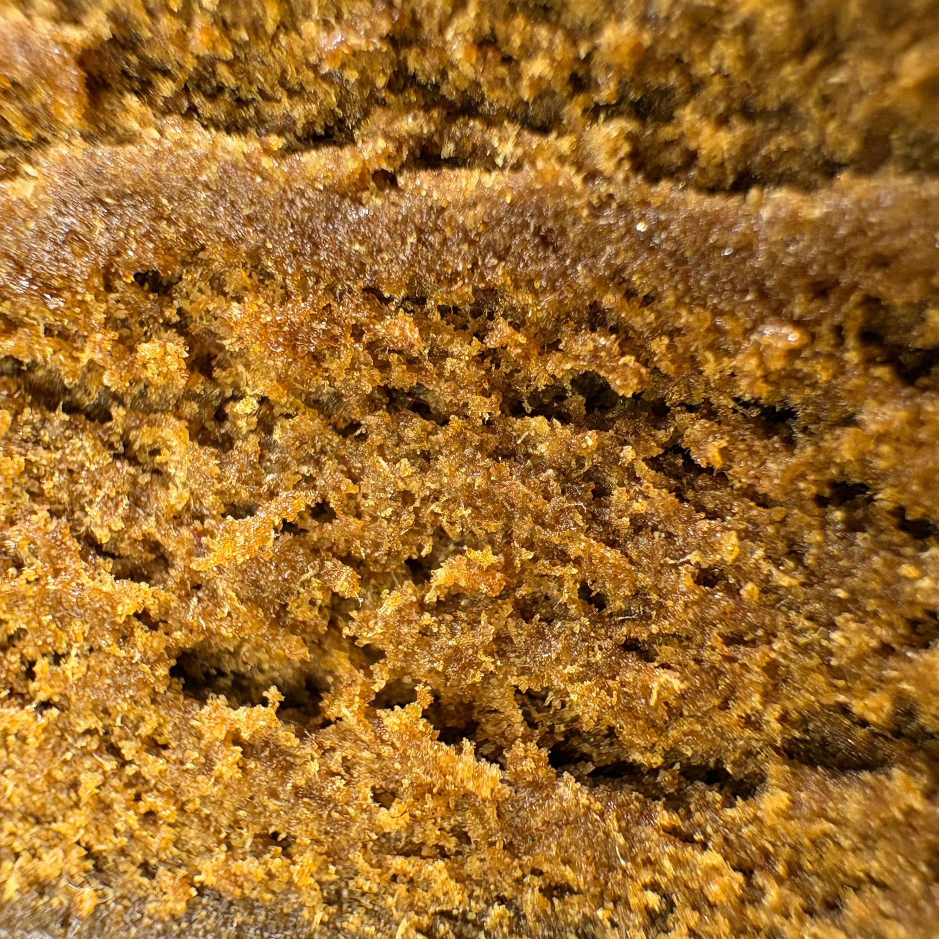 Image of MIMOSA (Δ-9 THC)