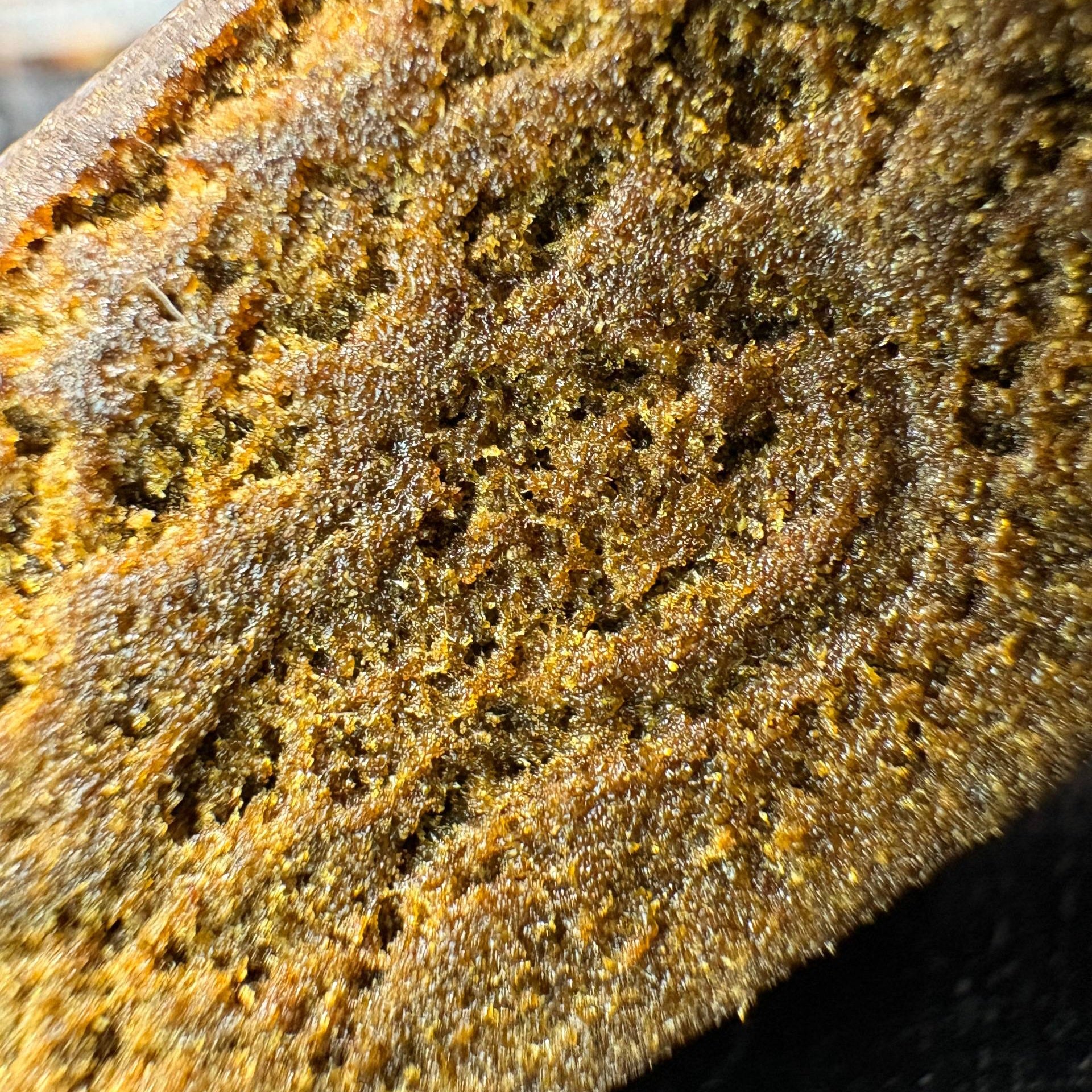 Image of GMO COOKIES (Δ-9 THC)