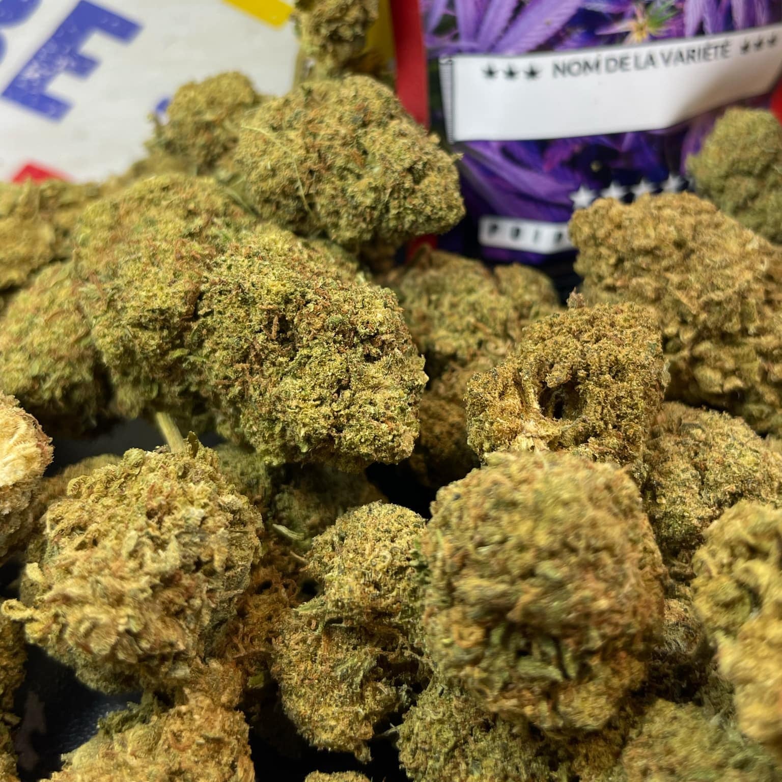 Image of BUBBLEGUM (CBD)