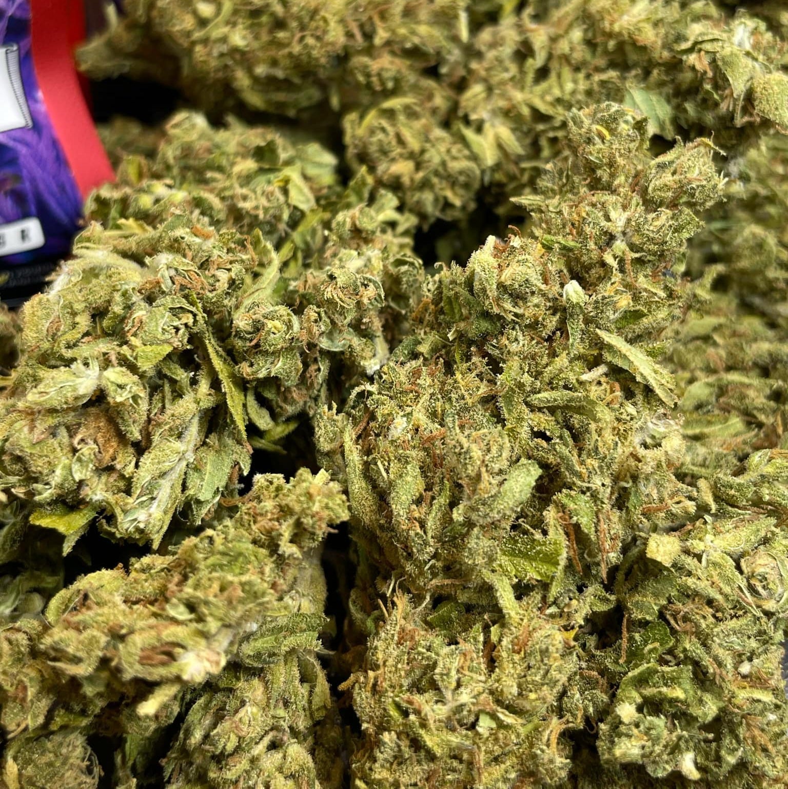 Image of EUPHORIA (CBD)