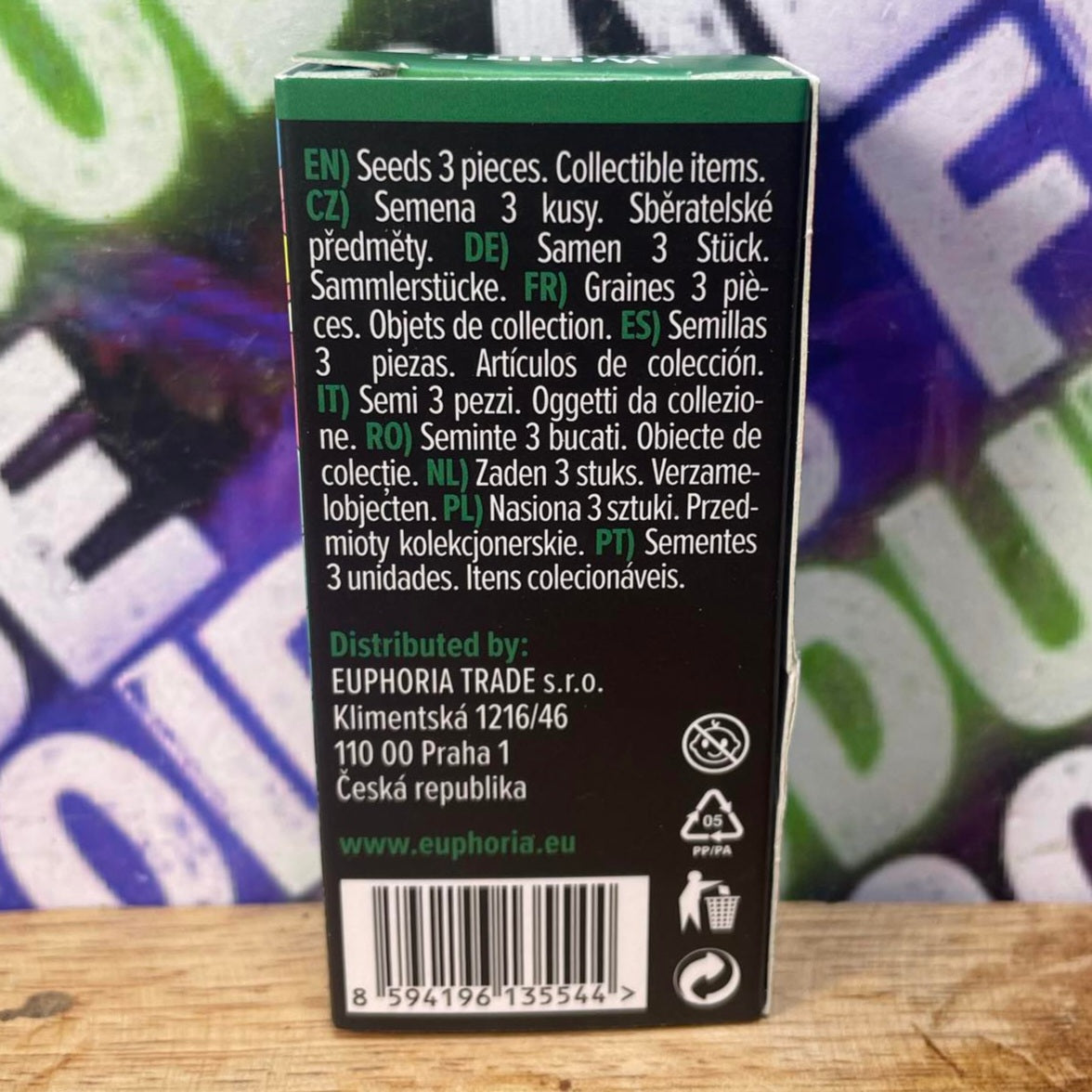 Image of X3 GRAINES DE CANNABIS AUTO (WHITE WIDOW)