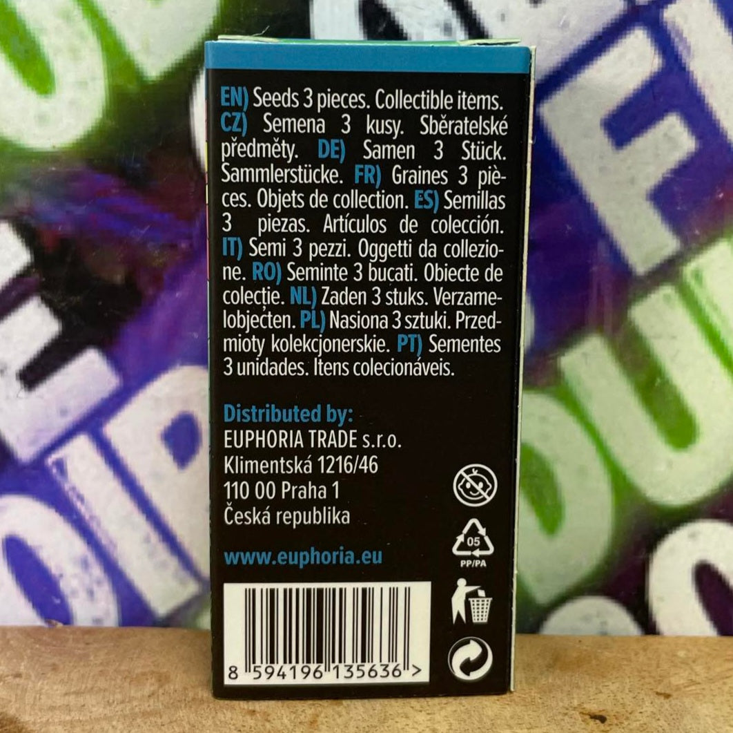 Image of X3 SEMILLAS DE CANNABIS FEMINIZADAS (BLUEBERRY)