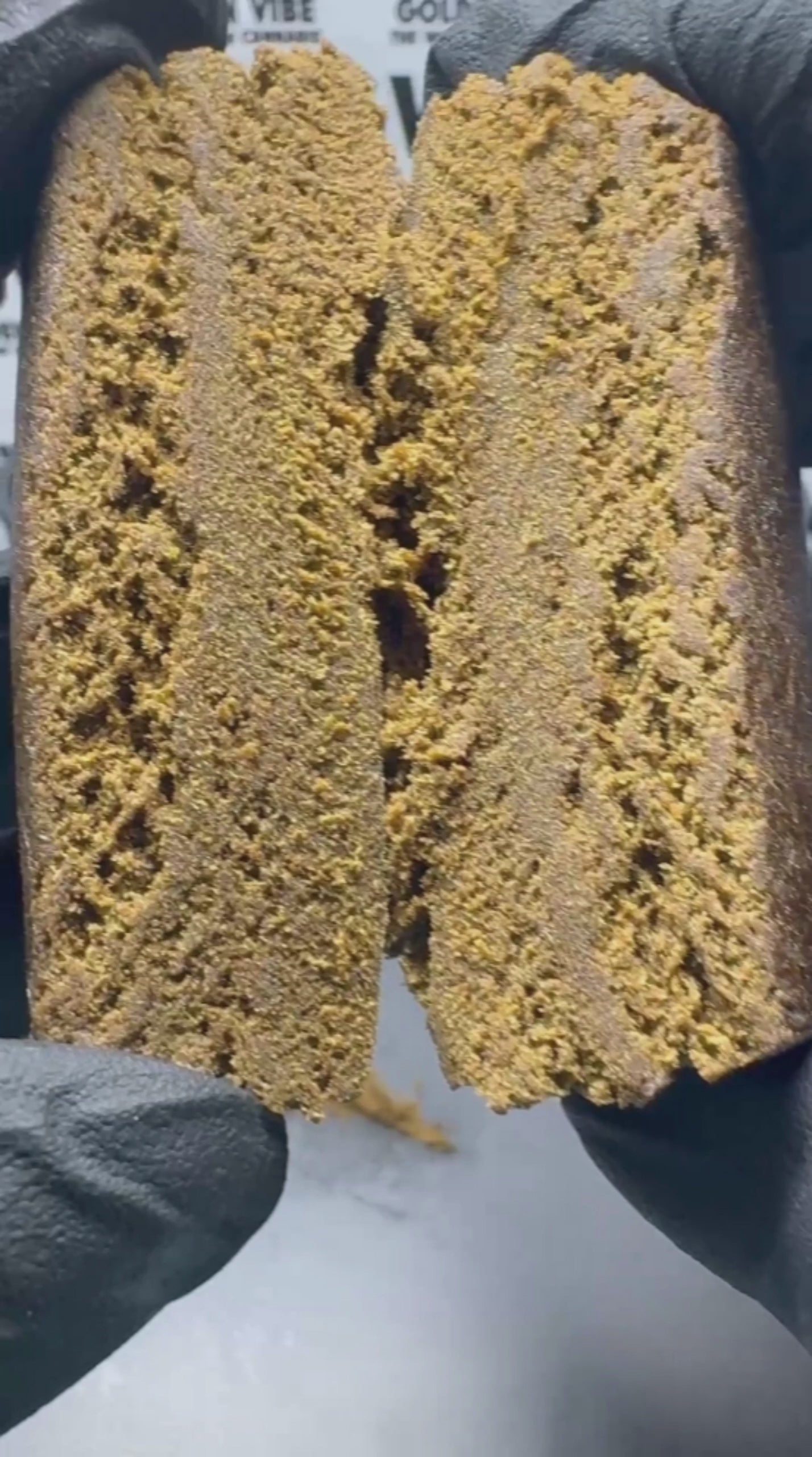 Image of GMO COOKIES (Δ-9 THC)
