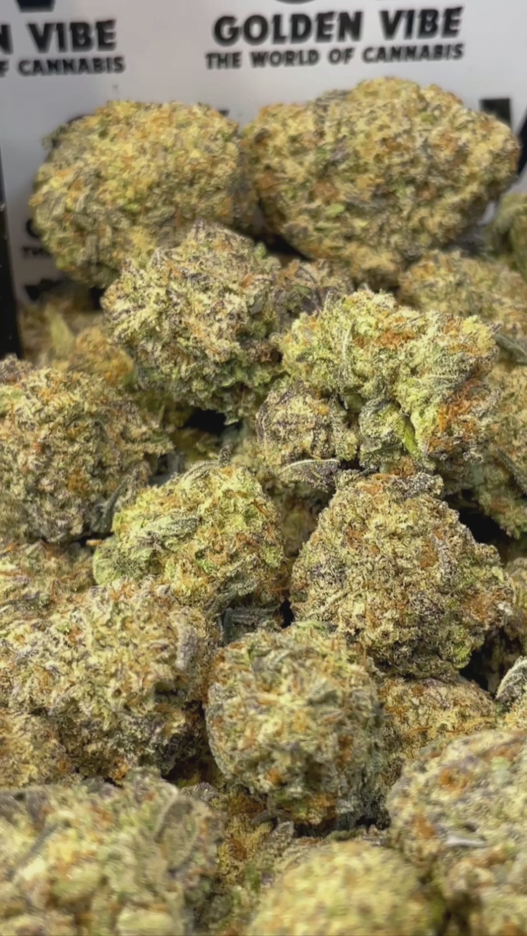 Image of SNOW BUNNY (Δ-9 THC)