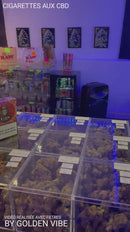 CIGARETTES AMNESIA ZION (CBD)