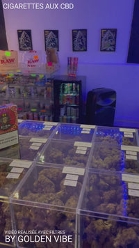 CIGARETTES AMNESIA ZION (CBD)