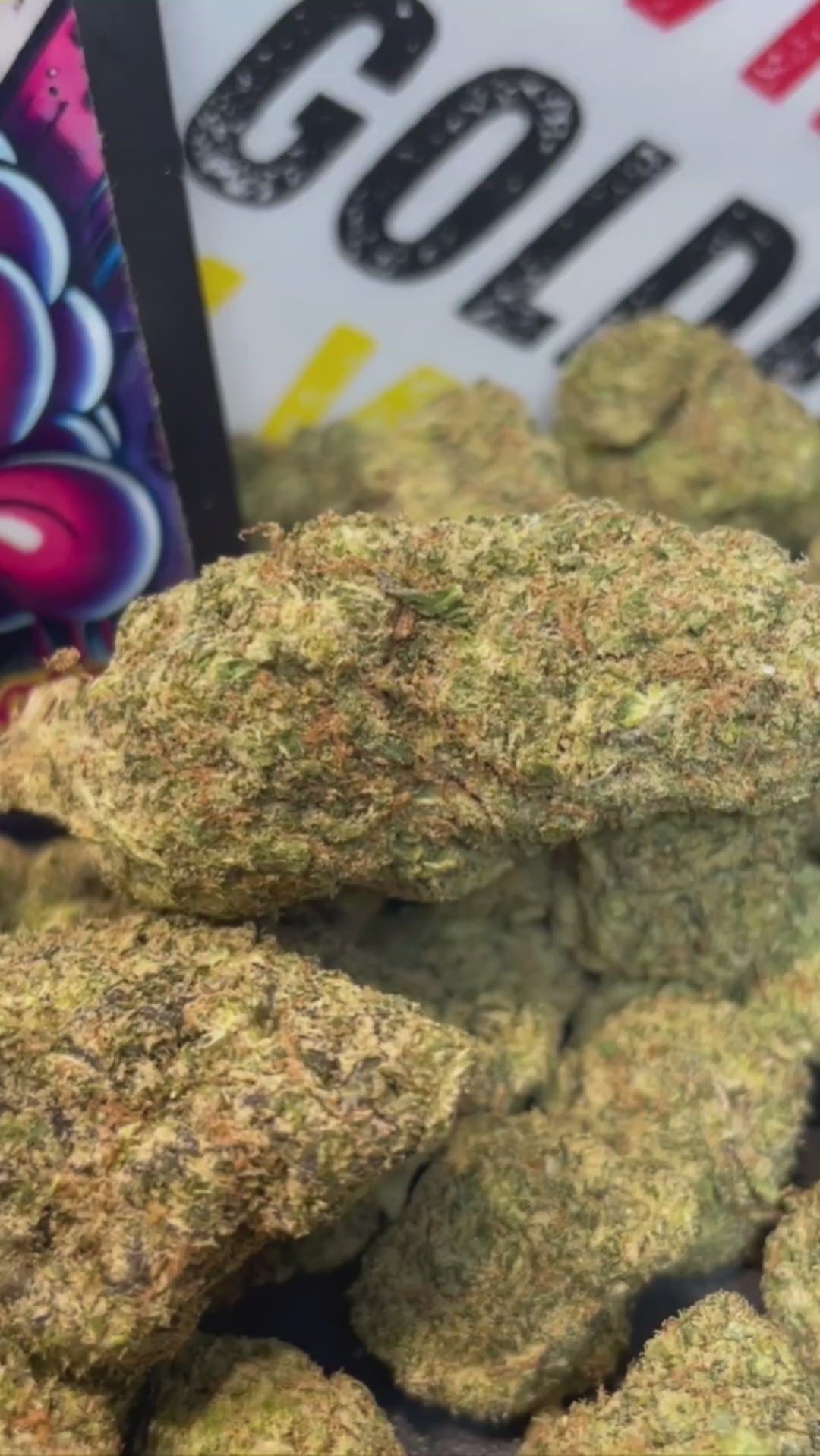 PINK GELATO - HOLLANDAISE (Δ-9 THC)