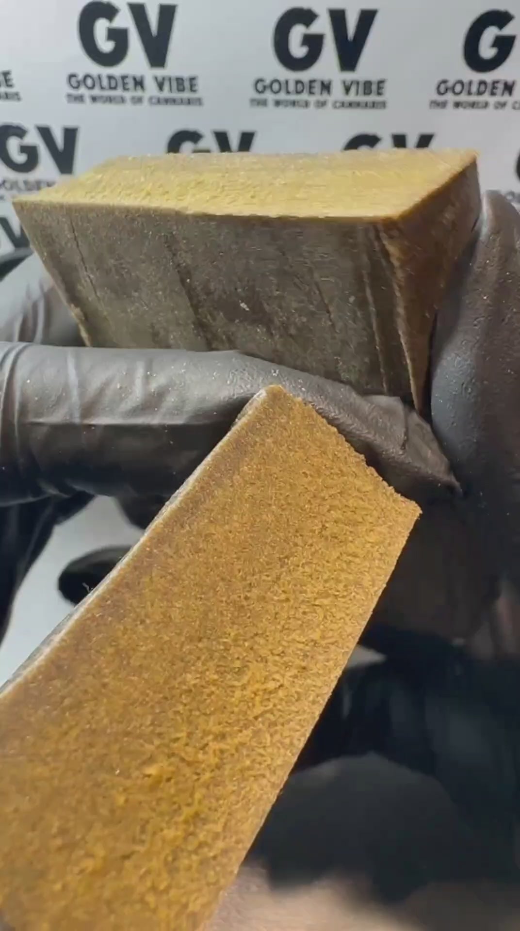 Image of CHEESE SHERBET (Δ-9 THC)