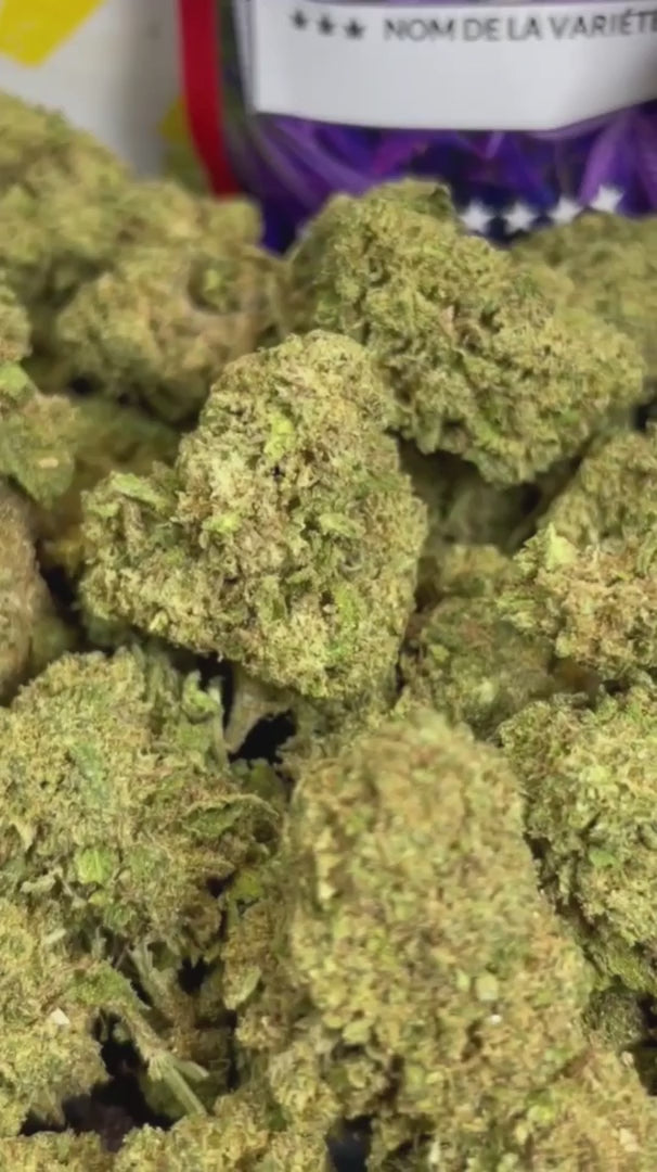 Image of WHITE DAWG (CBD)