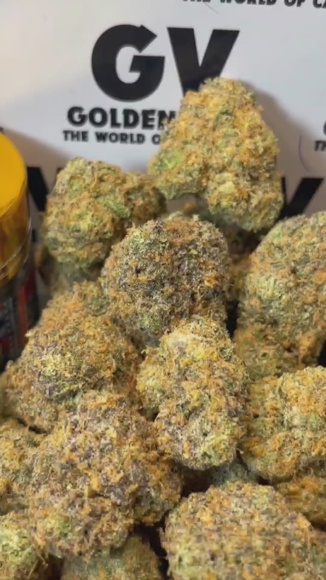 Image of ZOAP WIZARD TREES - EXCLU 2026 (Δ-9 THC)