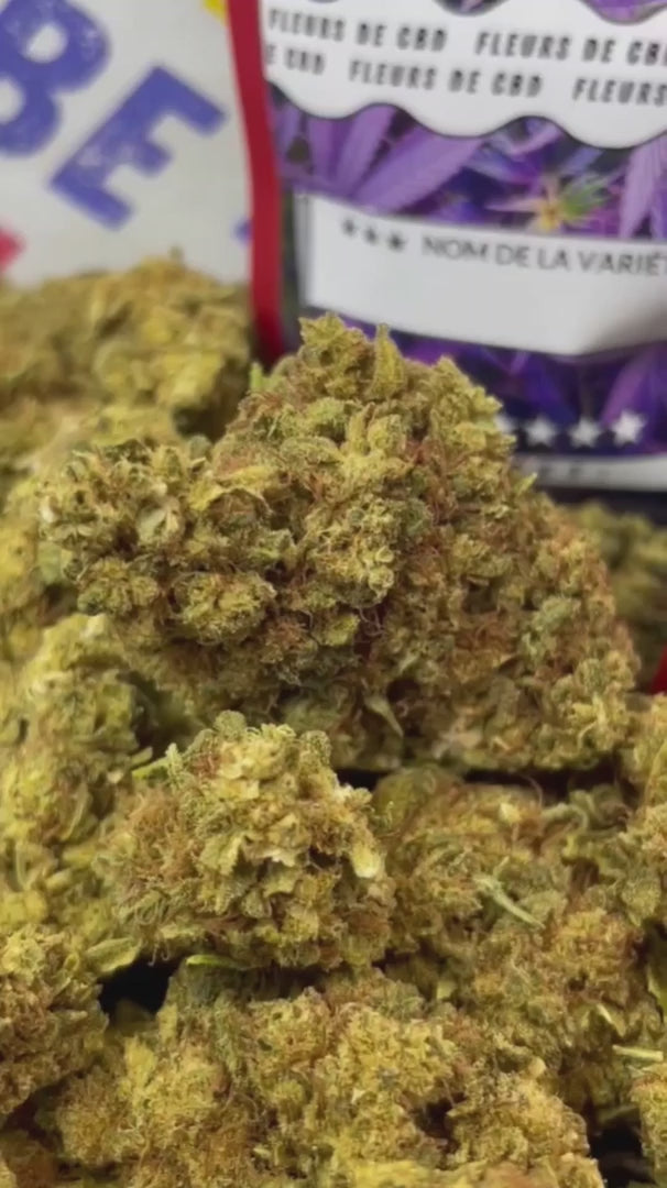 Image of LIMONCELLO (CBD)