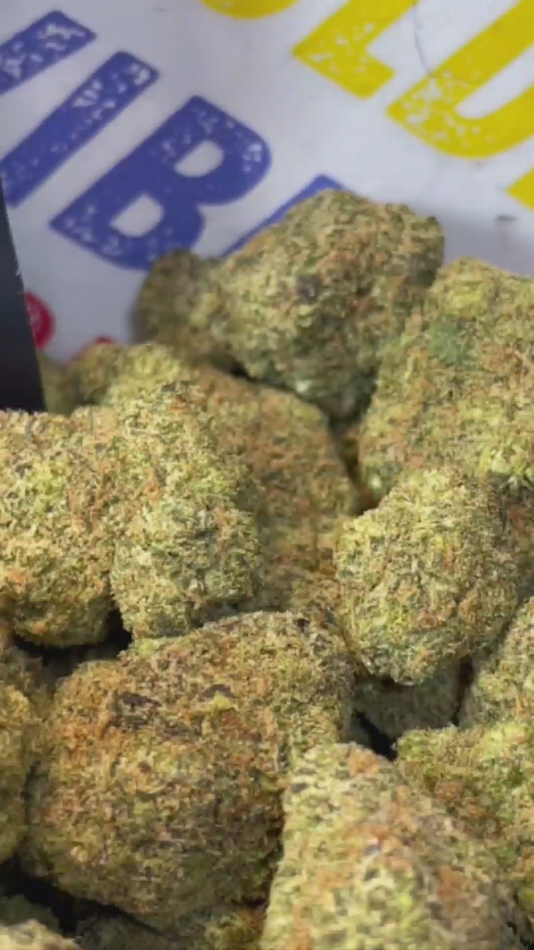 LEMON CHERRY - HOLLANDAISE (Δ-9 THC)