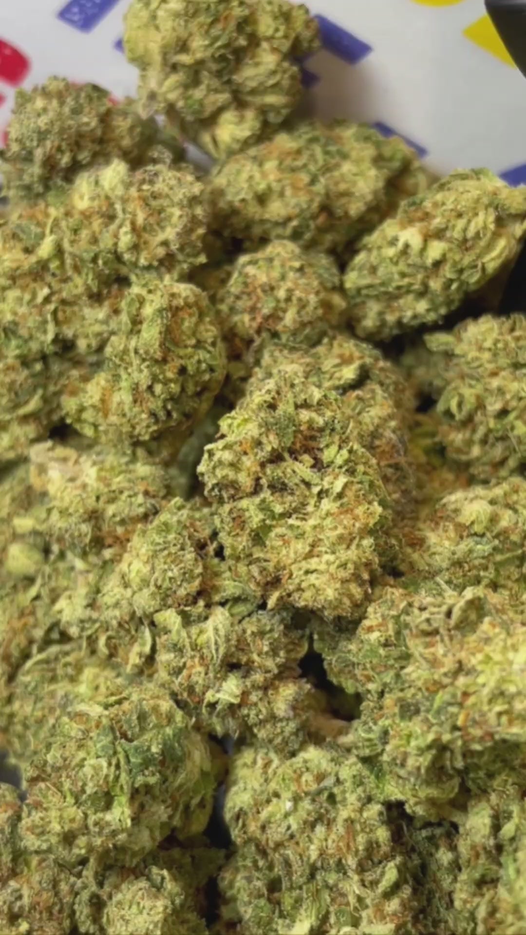 PLATINUM OG - STRAIN CALI (Δ-9 THC)