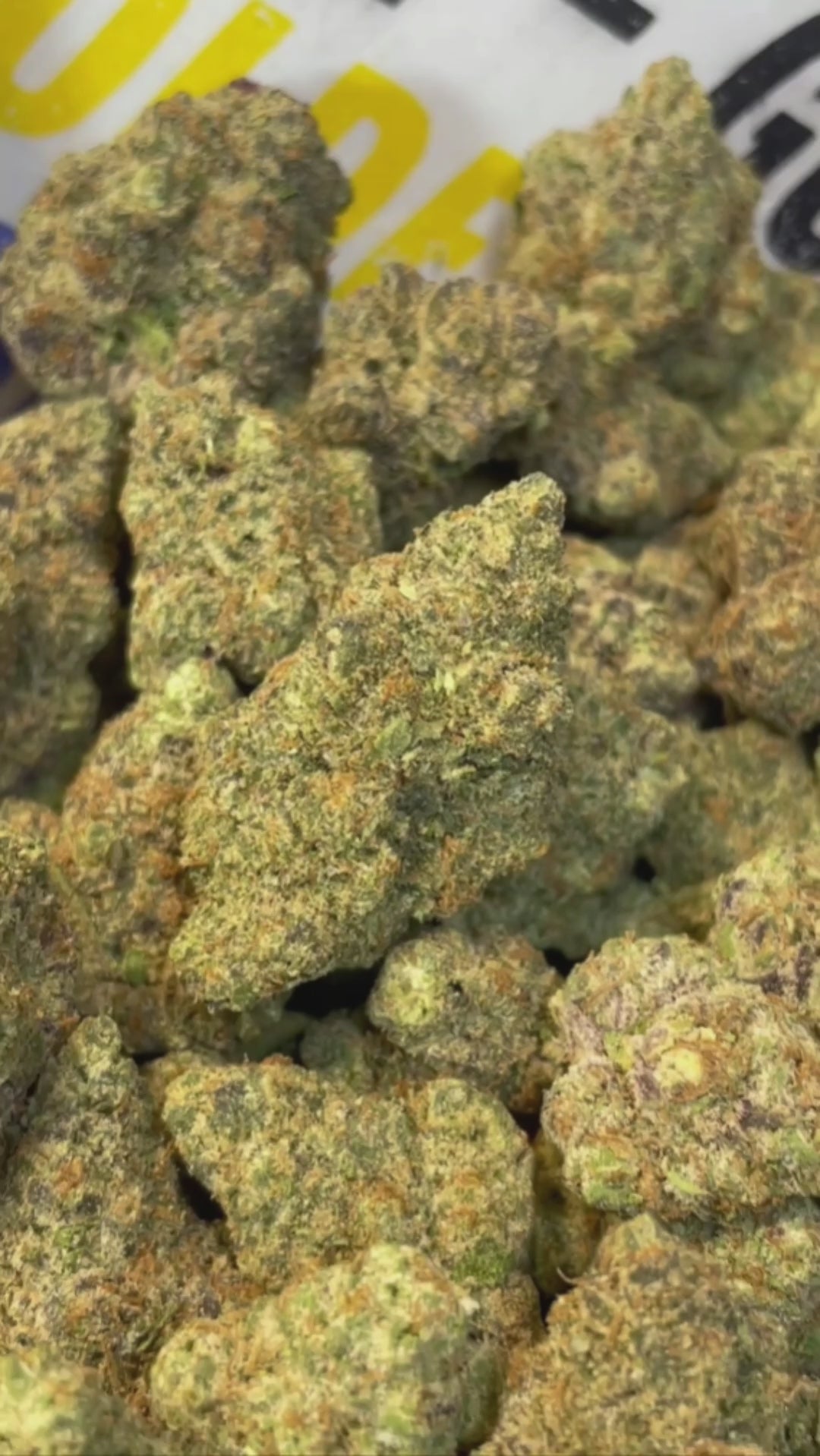 PURPLE PUSH POPZ - CANADIENNE (Δ-9 THC)