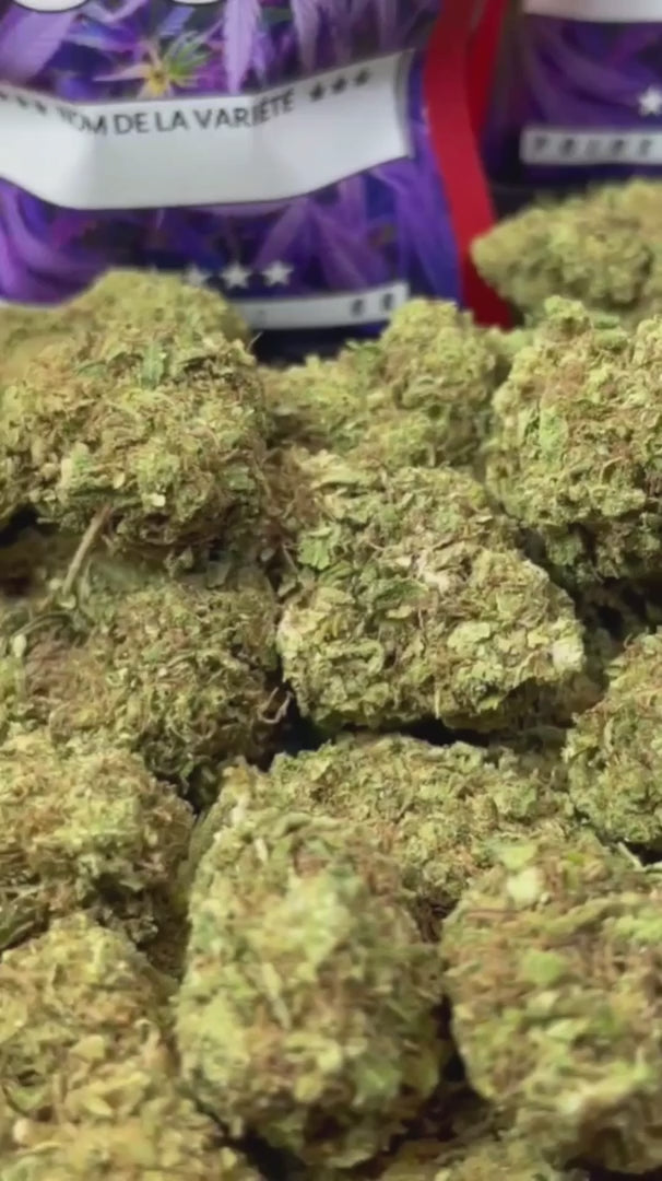 Image of BLUEBERRY (CBD)