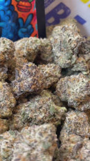 BLUE TRUFFLE - HOLLANDAISE (Δ-9 THC)